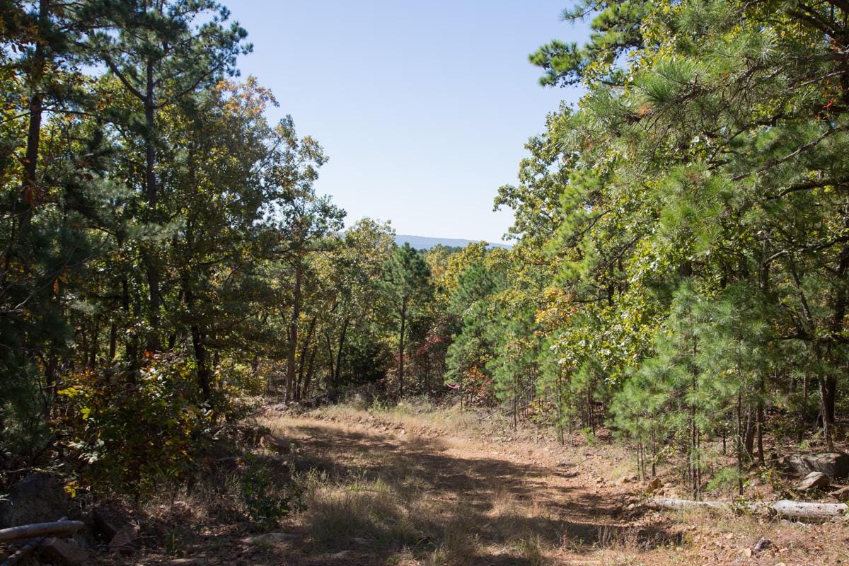 Stone Creek Phase I Tract 166 photo 2