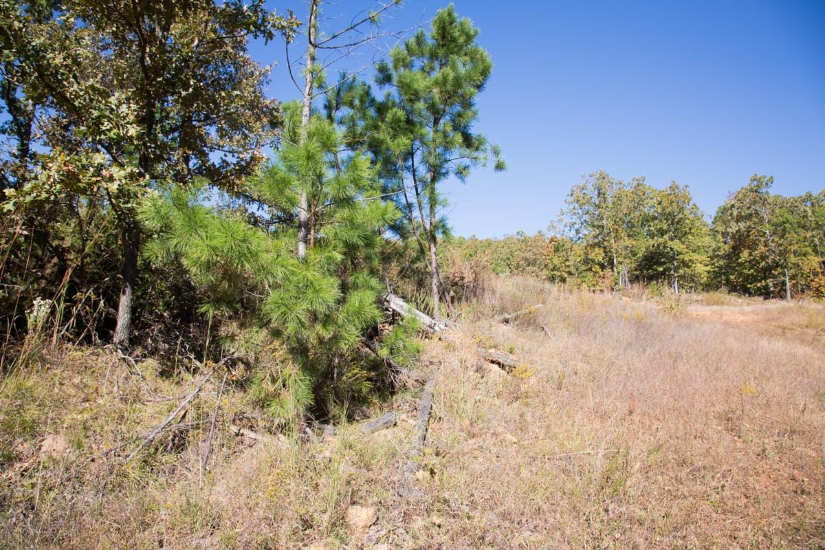 Stone Creek Phase I Tract 166 photo 6