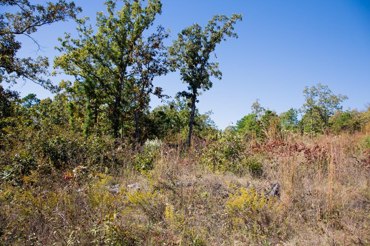 Stone Creek Phase I Tract 166 photo 7