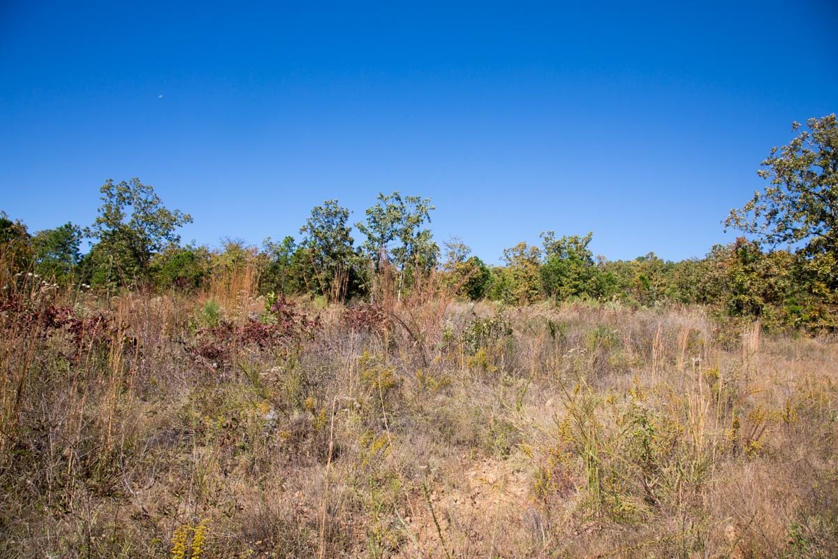 Stone Creek Phase I Tract 166 photo 8