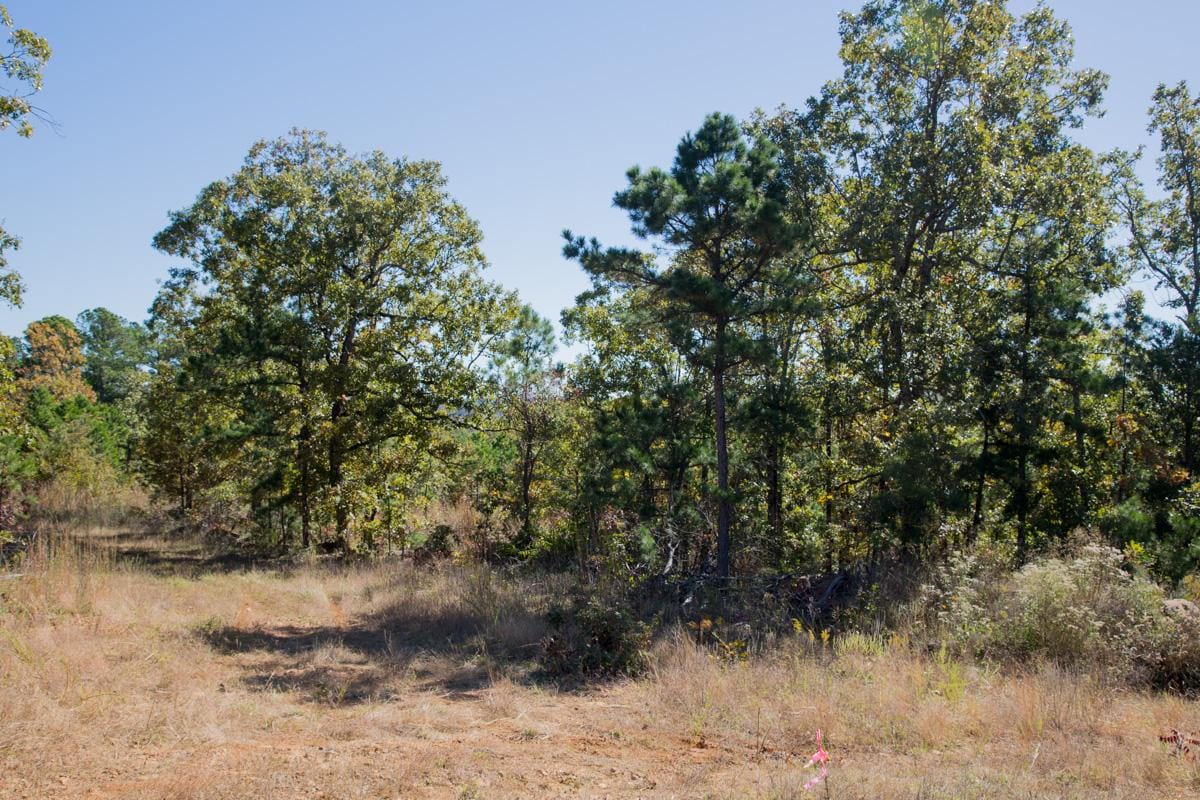 Stone Creek Phase I Tract 166 photo 9