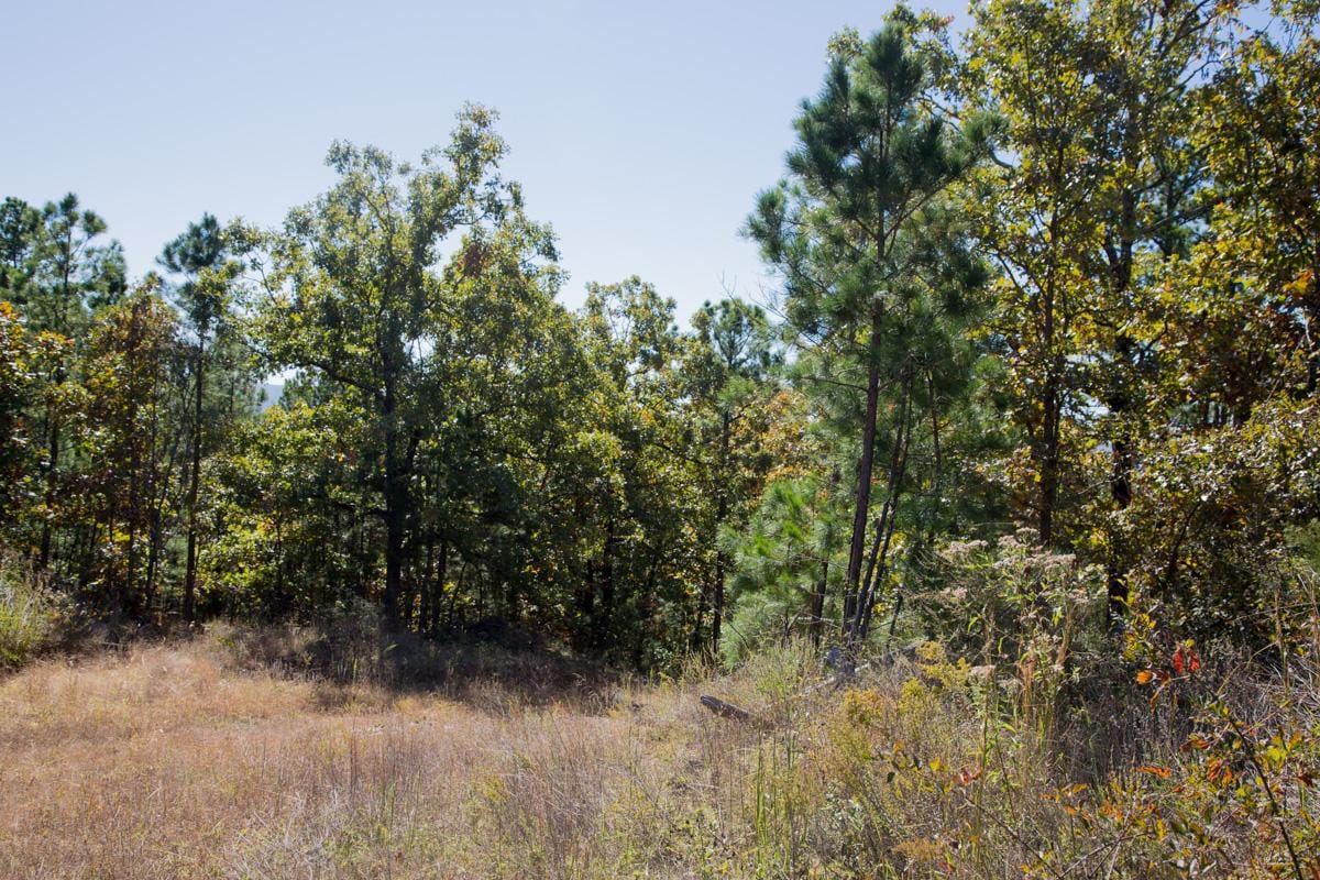 Stone Creek Phase I Tract 166 photo 10