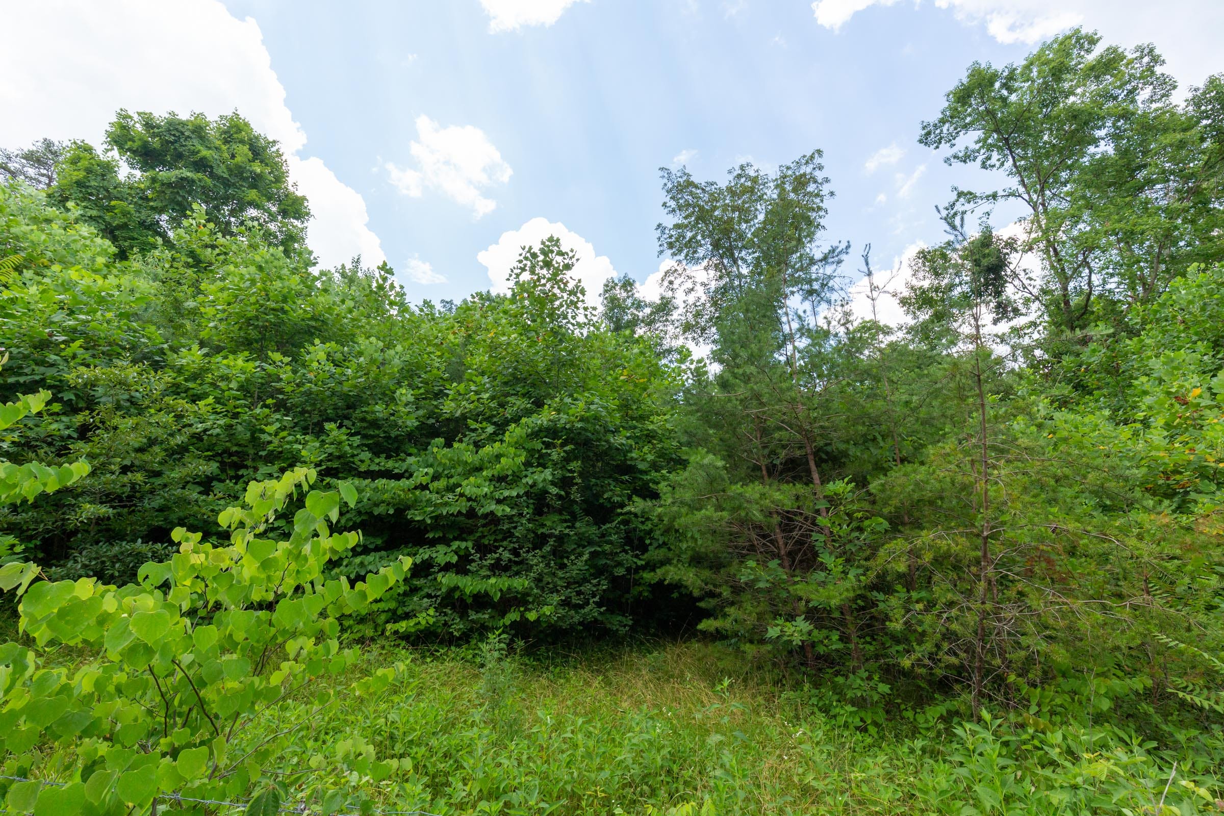 Tucker Hollow Tract 5 photo 4