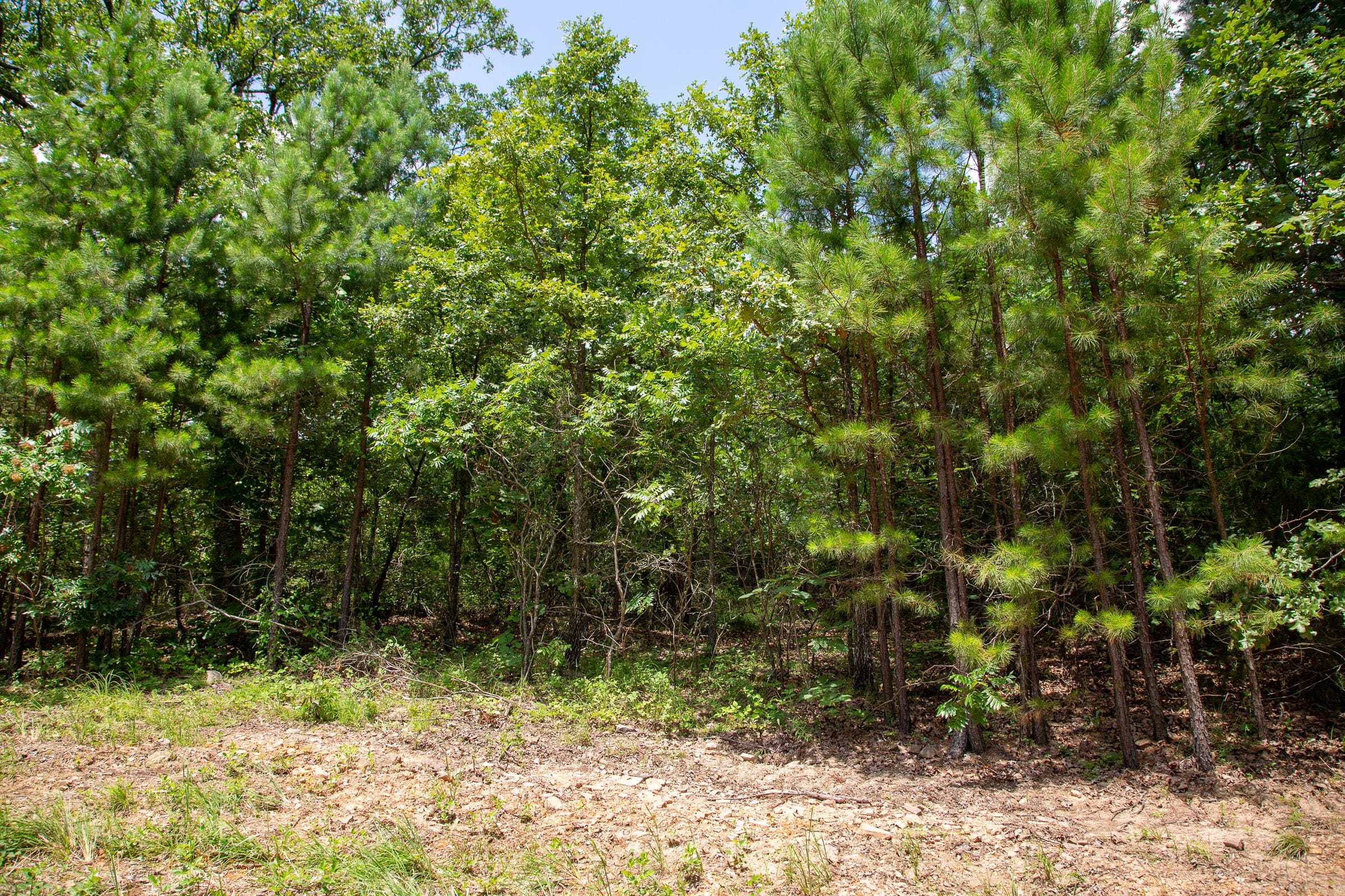Tyler Stone Ranch Tract 62 photo 3