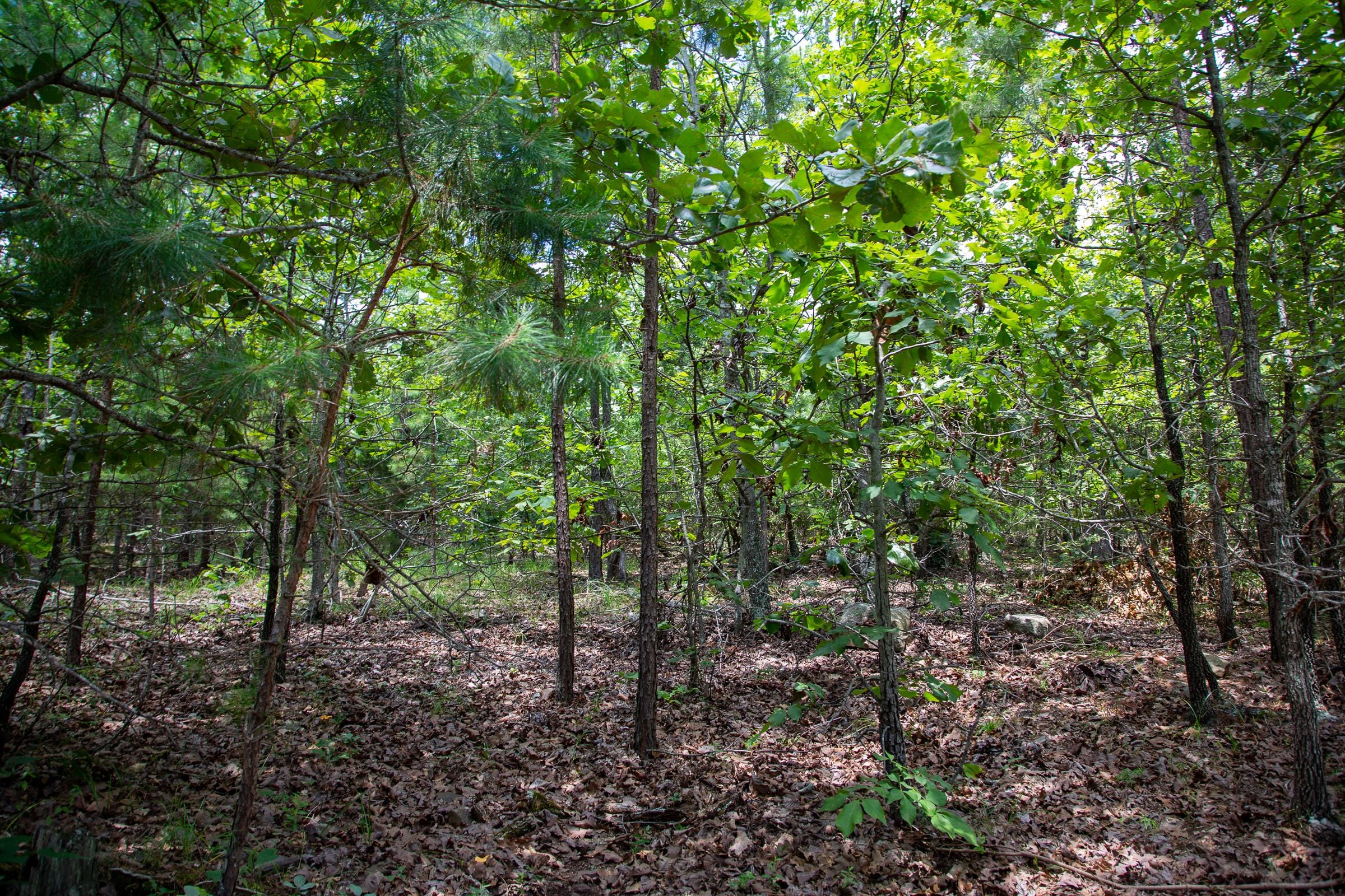 Tyler Stone Ranch Tract 62 photo 5
