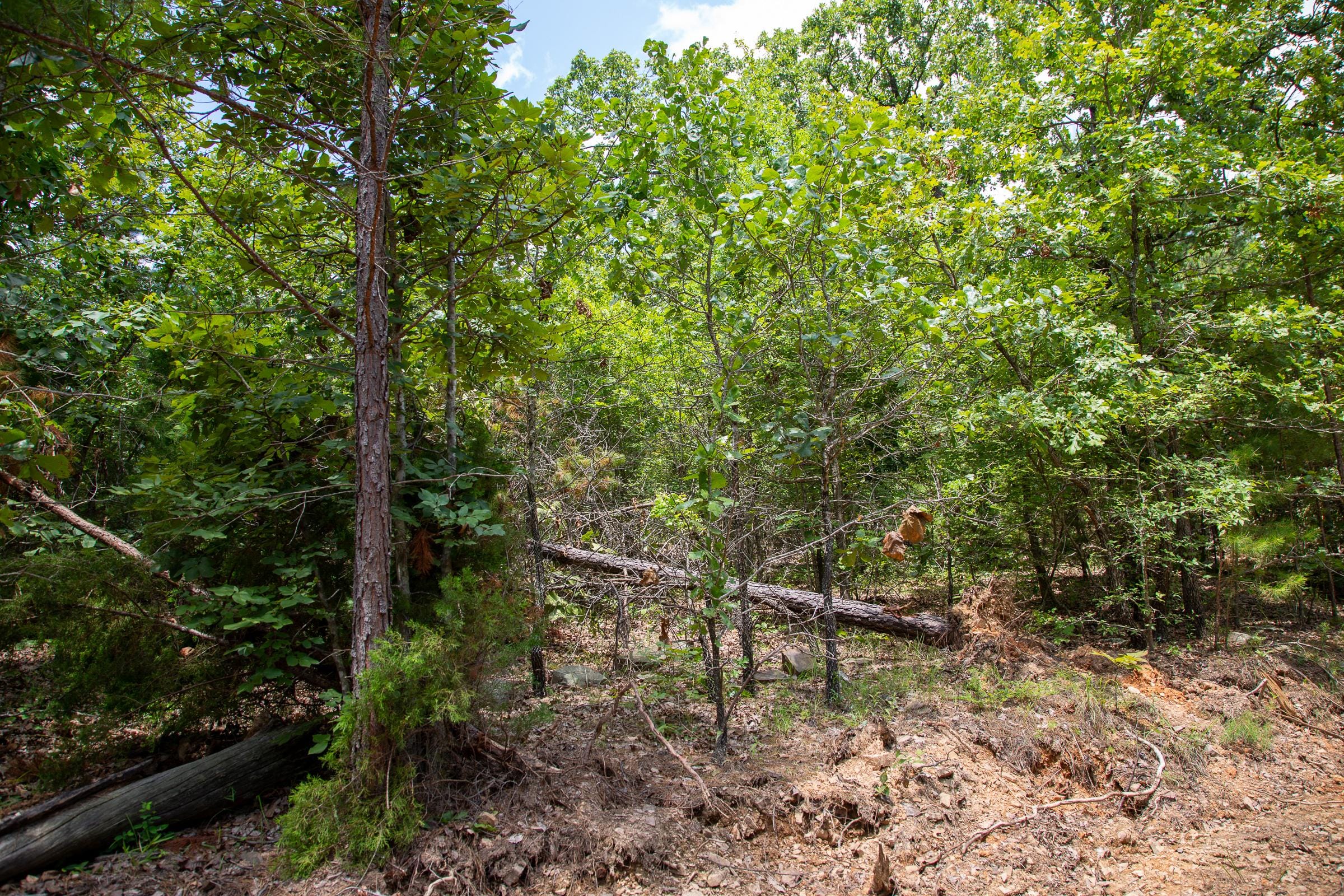 Tyler Stone Ranch Tract 62 photo 6