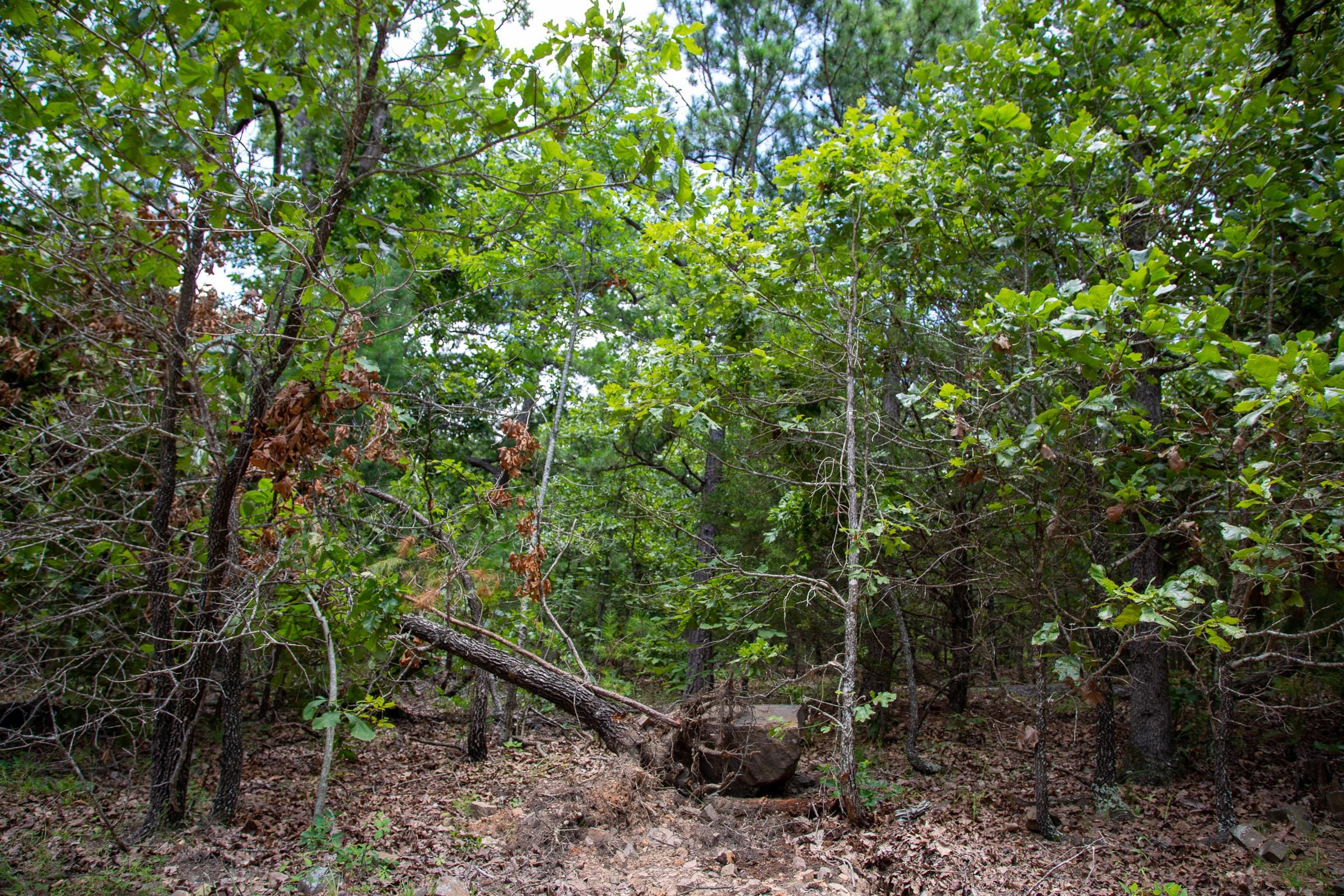 Tyler Stone Ranch Tract 62 photo 7