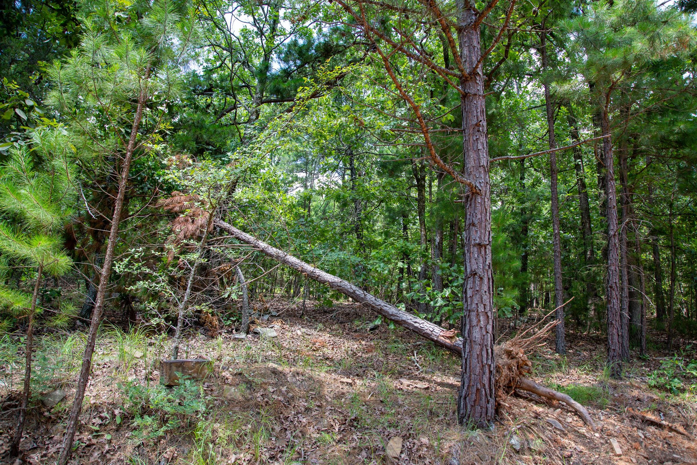 Tyler Stone Ranch Tract 62 photo 1