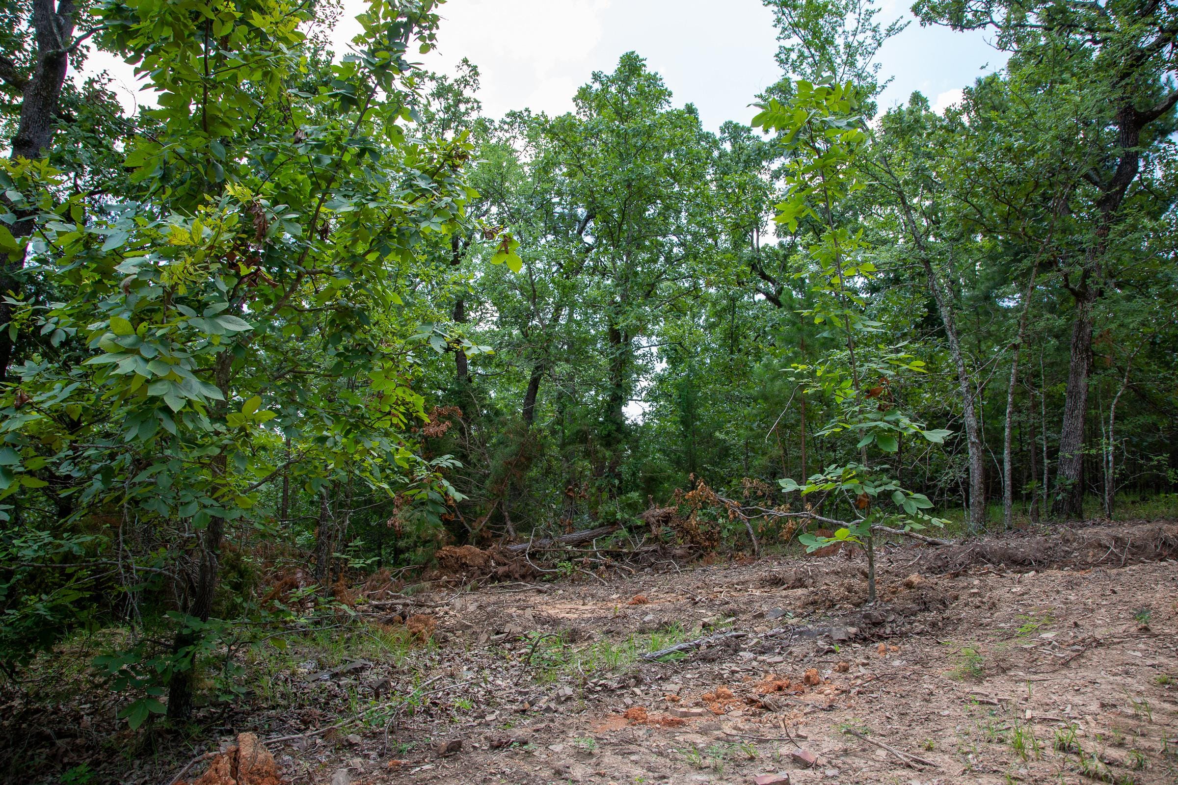 Tyler Stone Ranch Tract 62 photo 9