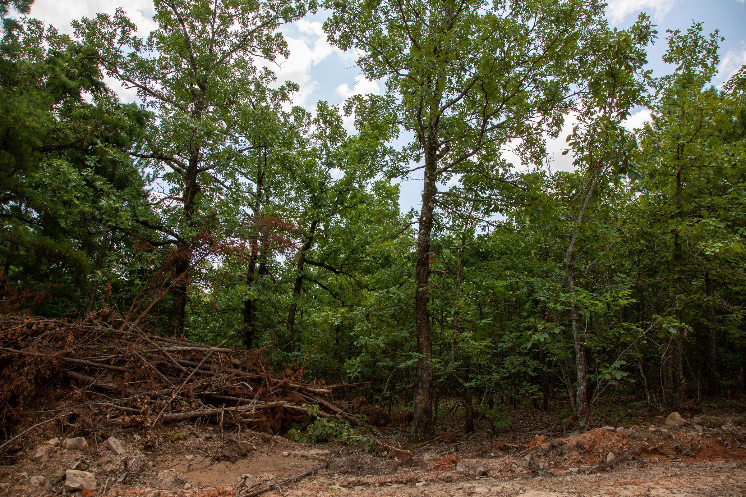 Tyler Stone Ranch Tract 62 photo 10