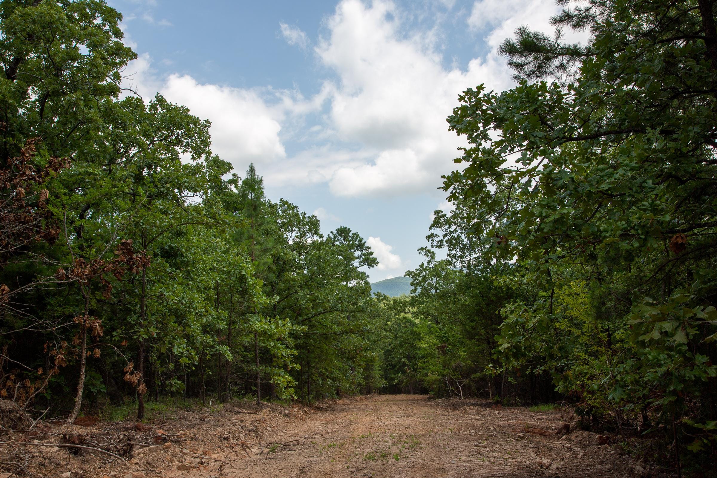 Tyler Stone Ranch Tract 62 photo 16