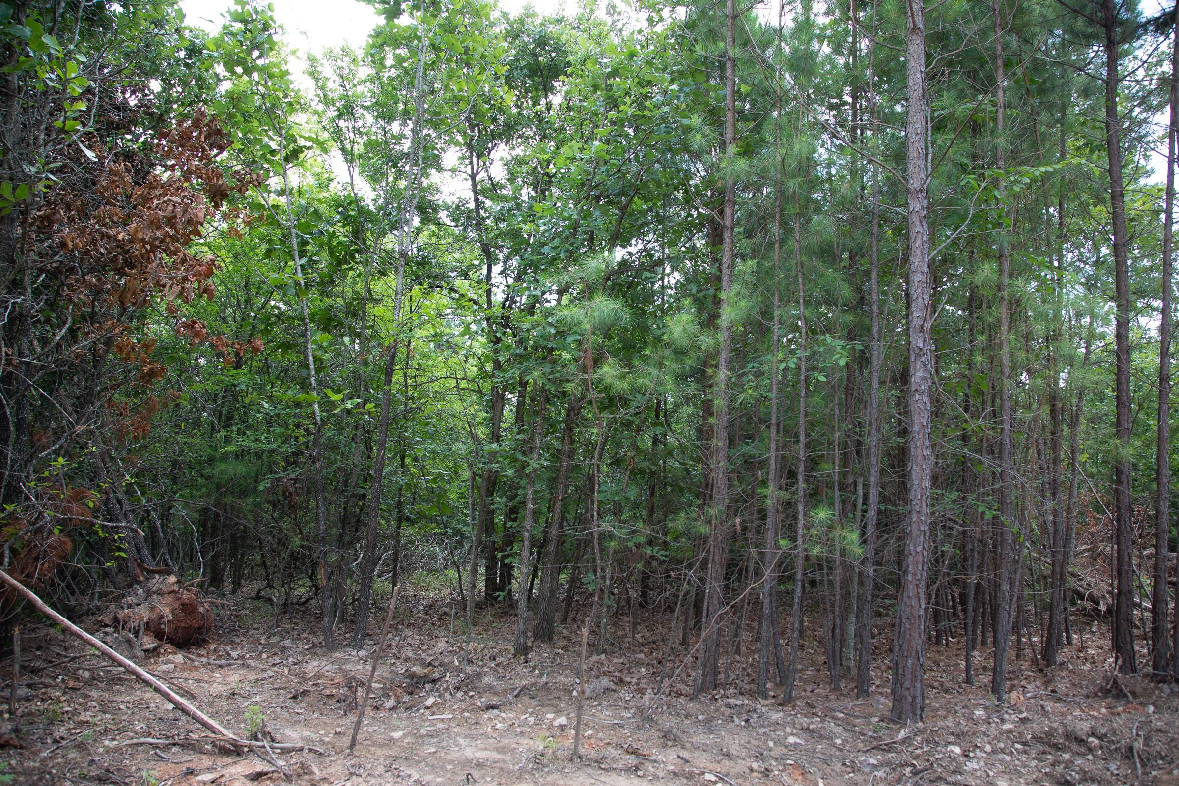 Tyler Stone Ranch Tract 62 photo 12