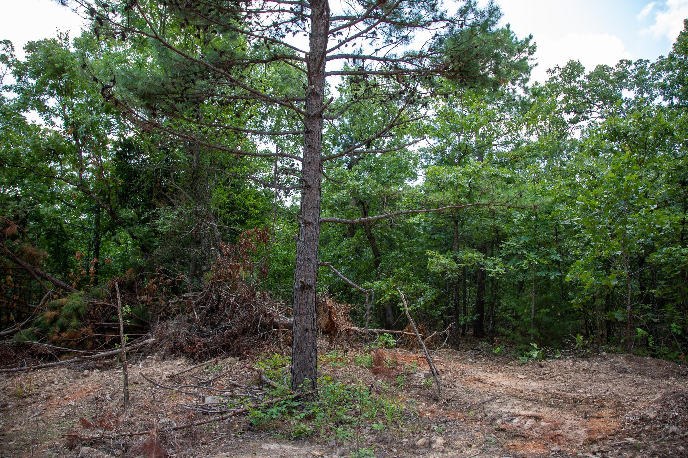 Tyler Stone Ranch Tract 62 photo 13