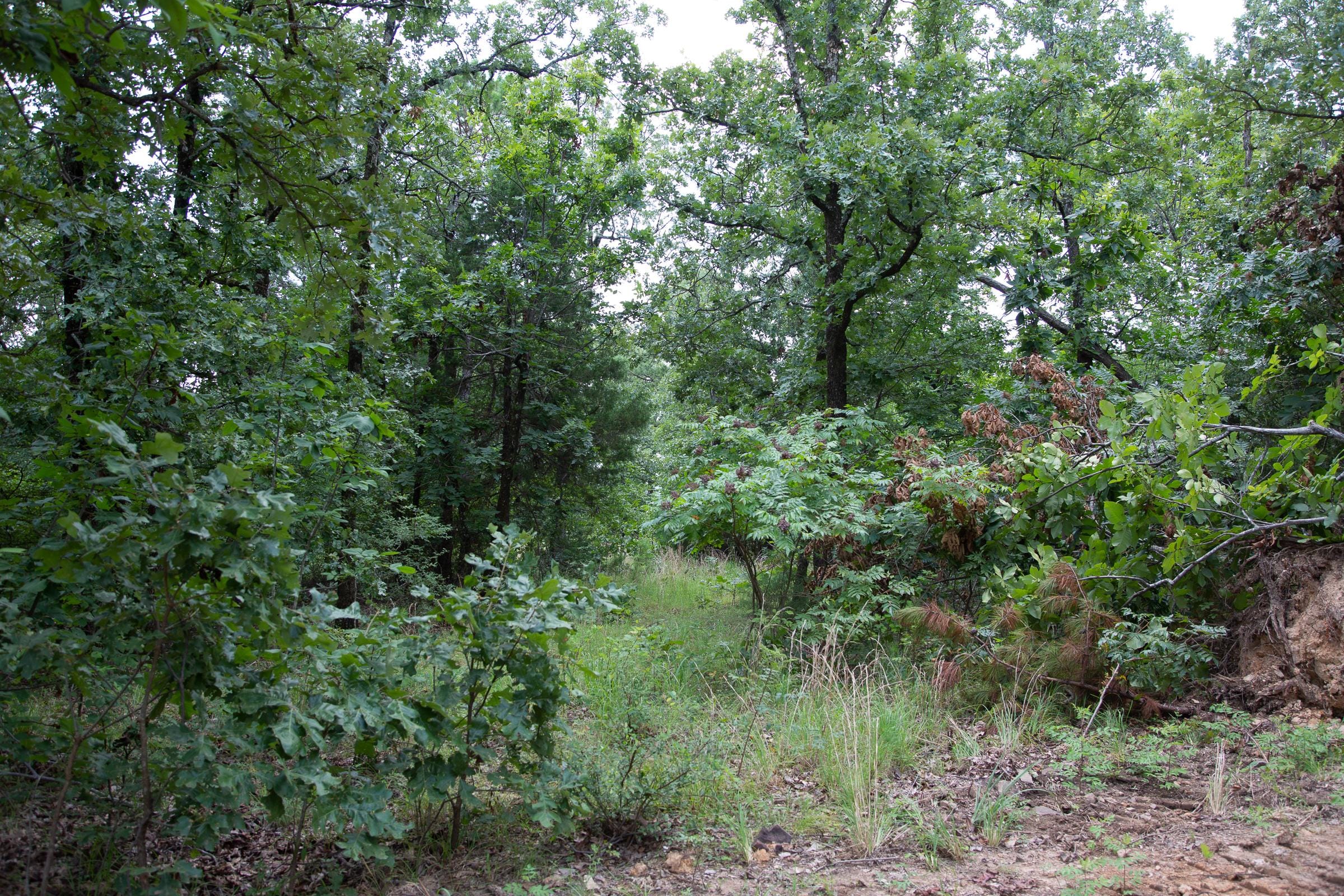 Tyler Stone Ranch Tract 62 photo 14