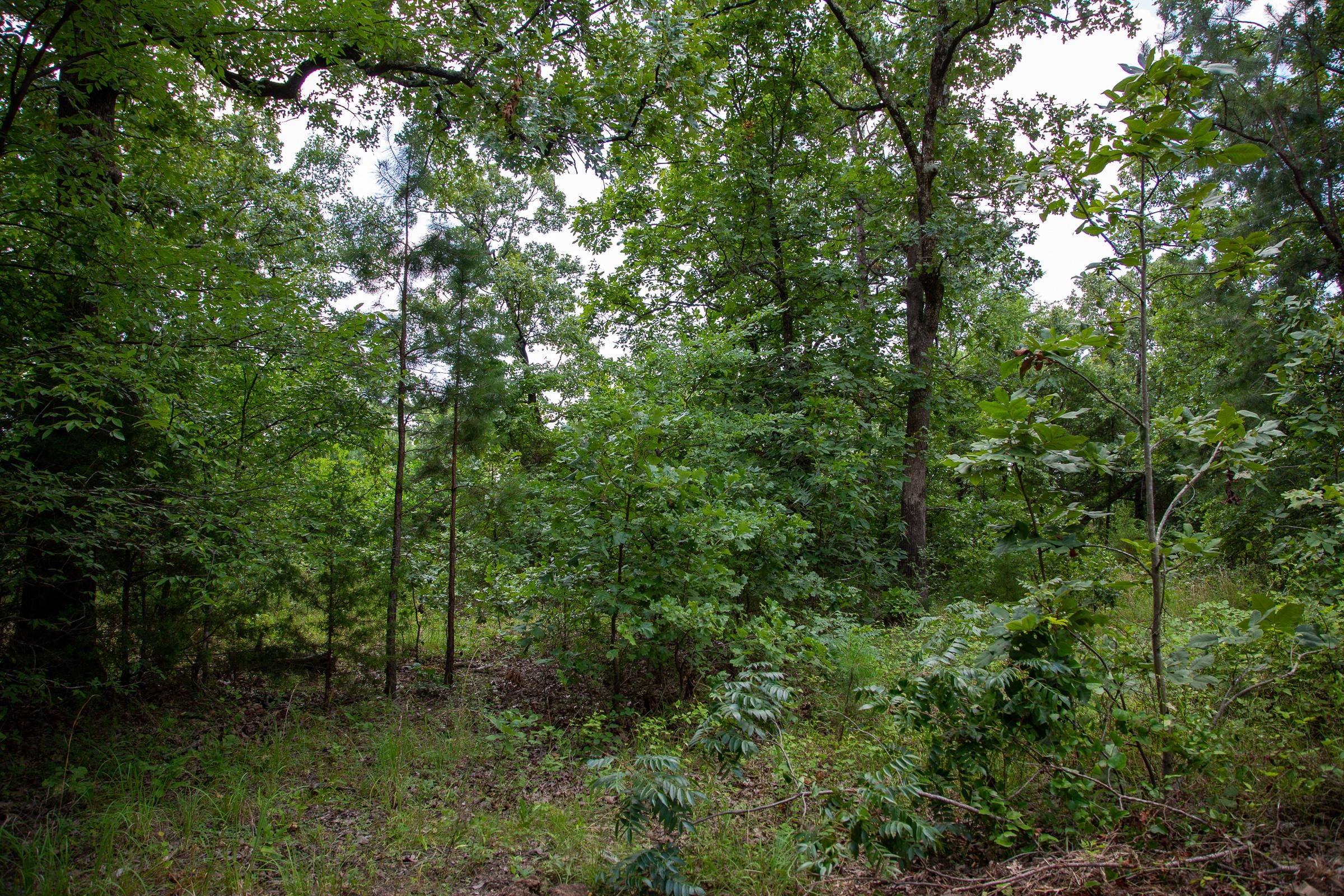Tyler Stone Ranch Tract 62 photo 15