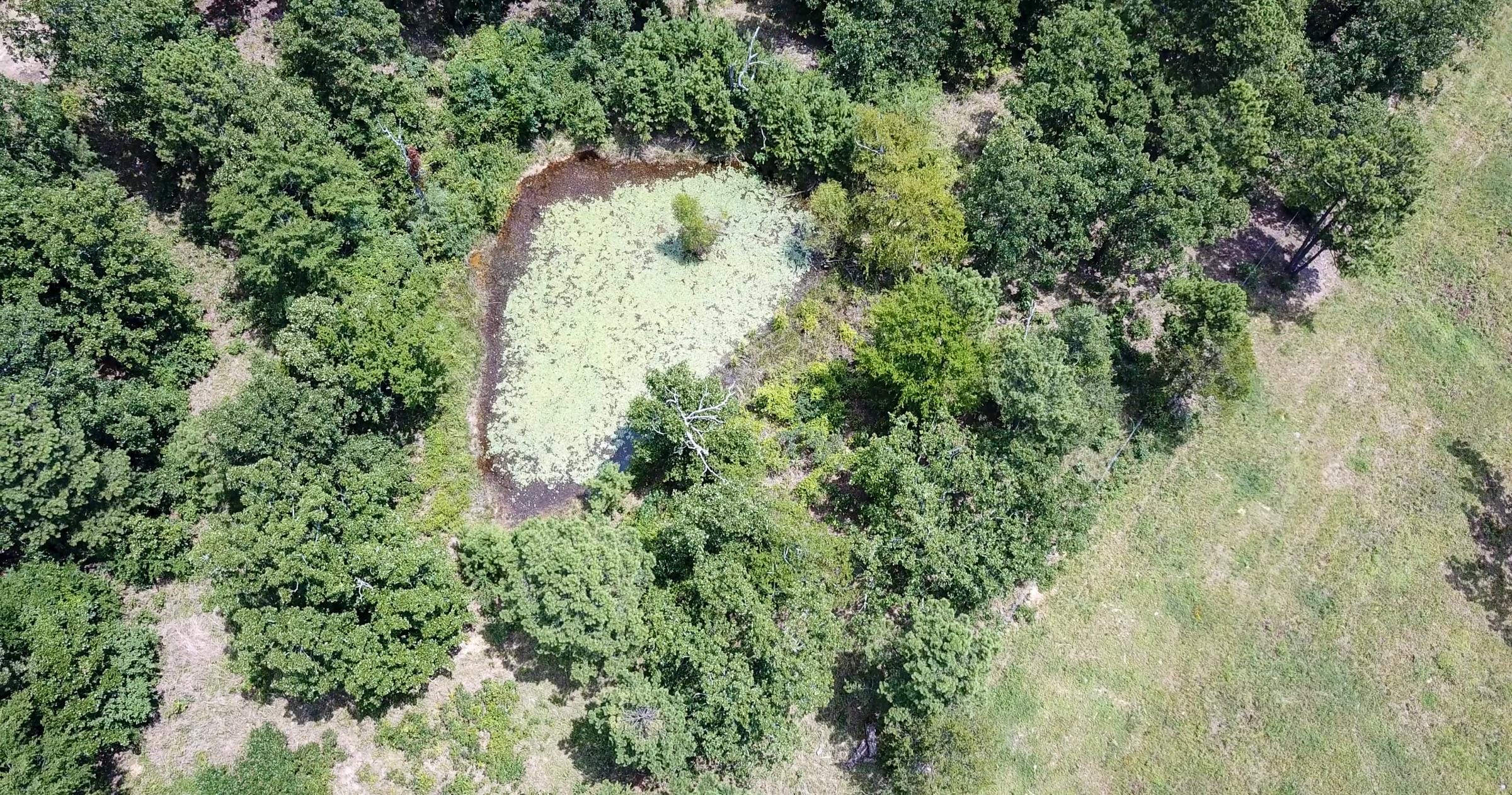 Tyler Stone Ranch Tract 62 photo 17