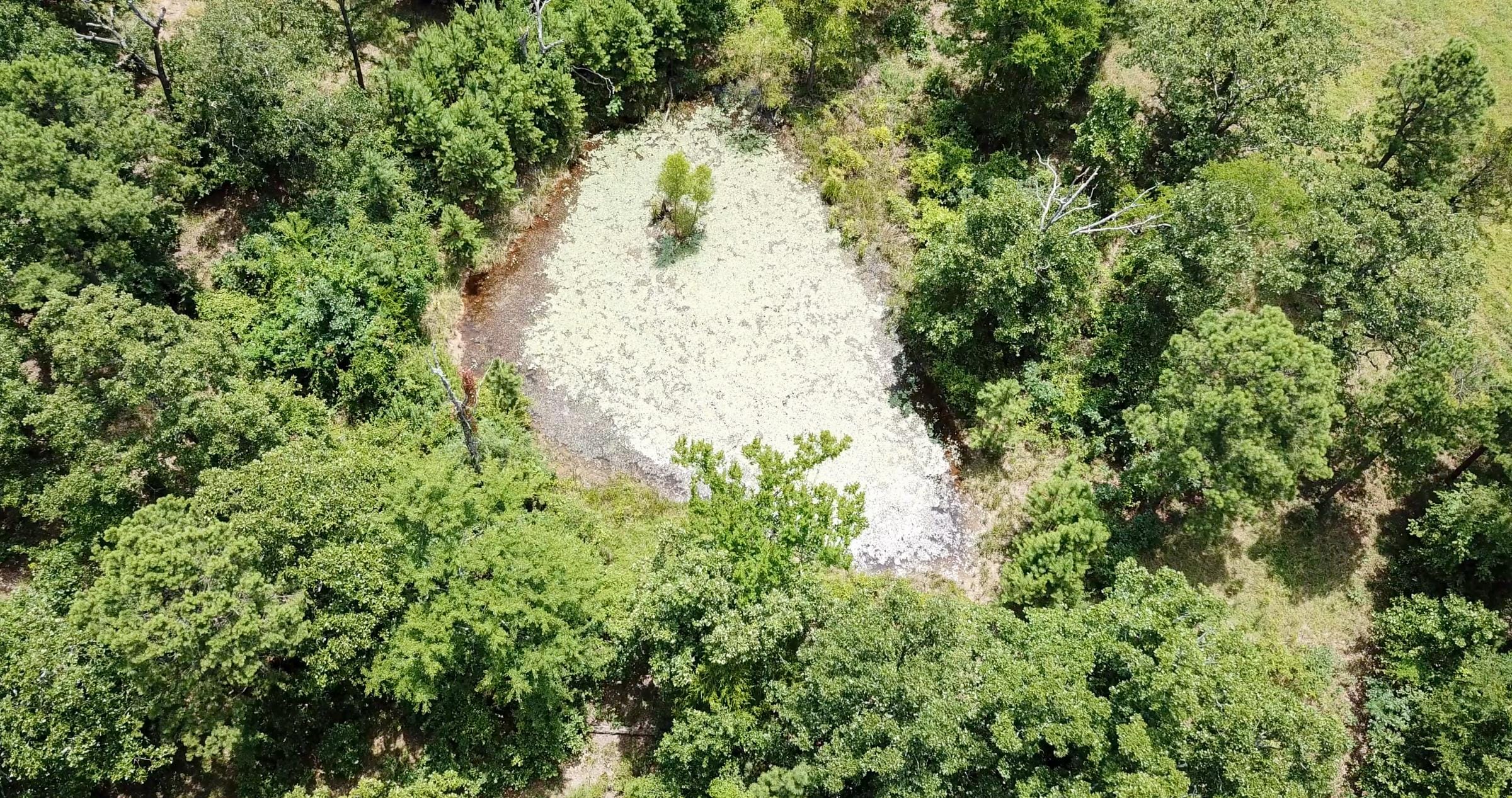 Tyler Stone Ranch Tract 62 photo 18