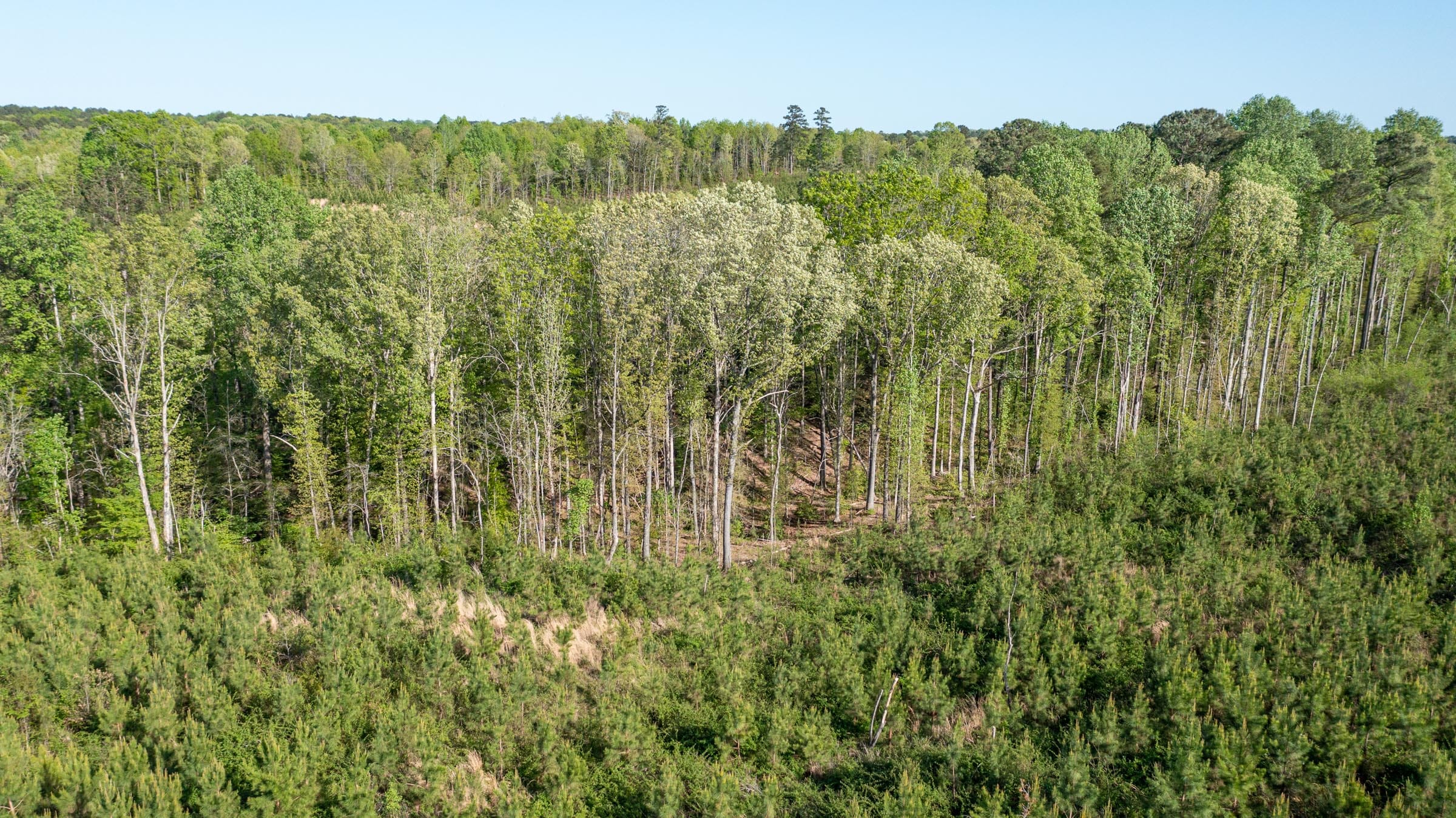 Clear Wood Tract 13 photo 2