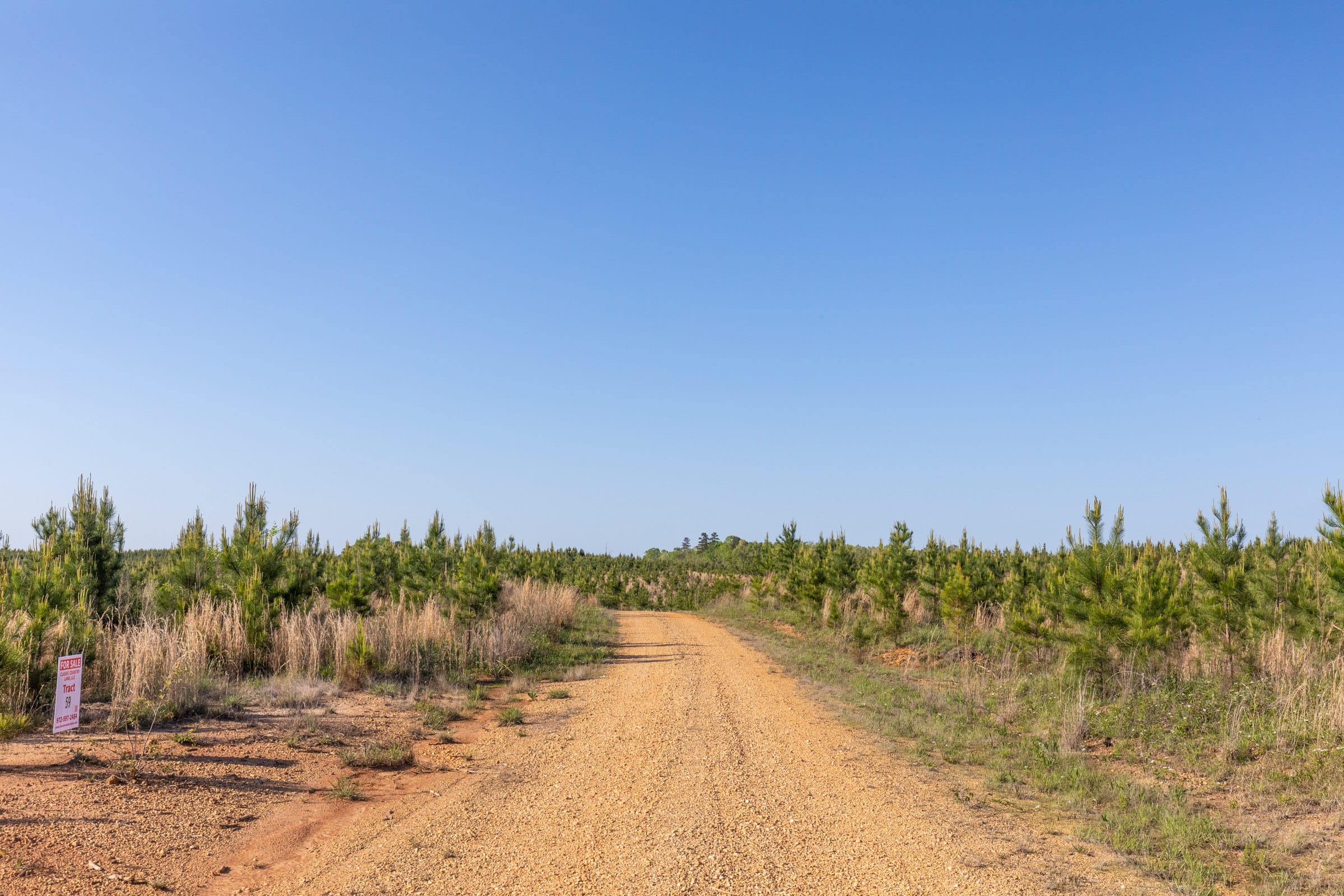 Clear Wood Tract 13 photo 1