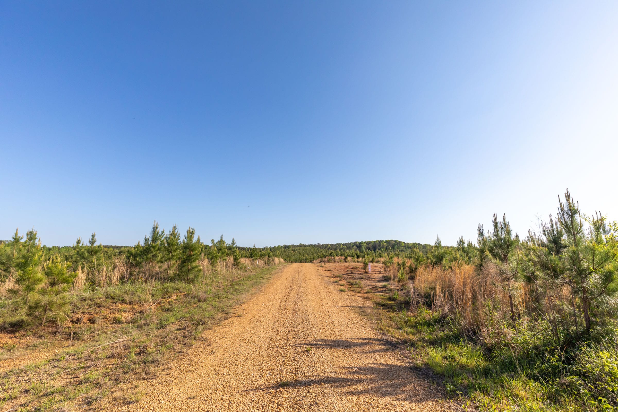 Clear Wood Tract 13 photo 5