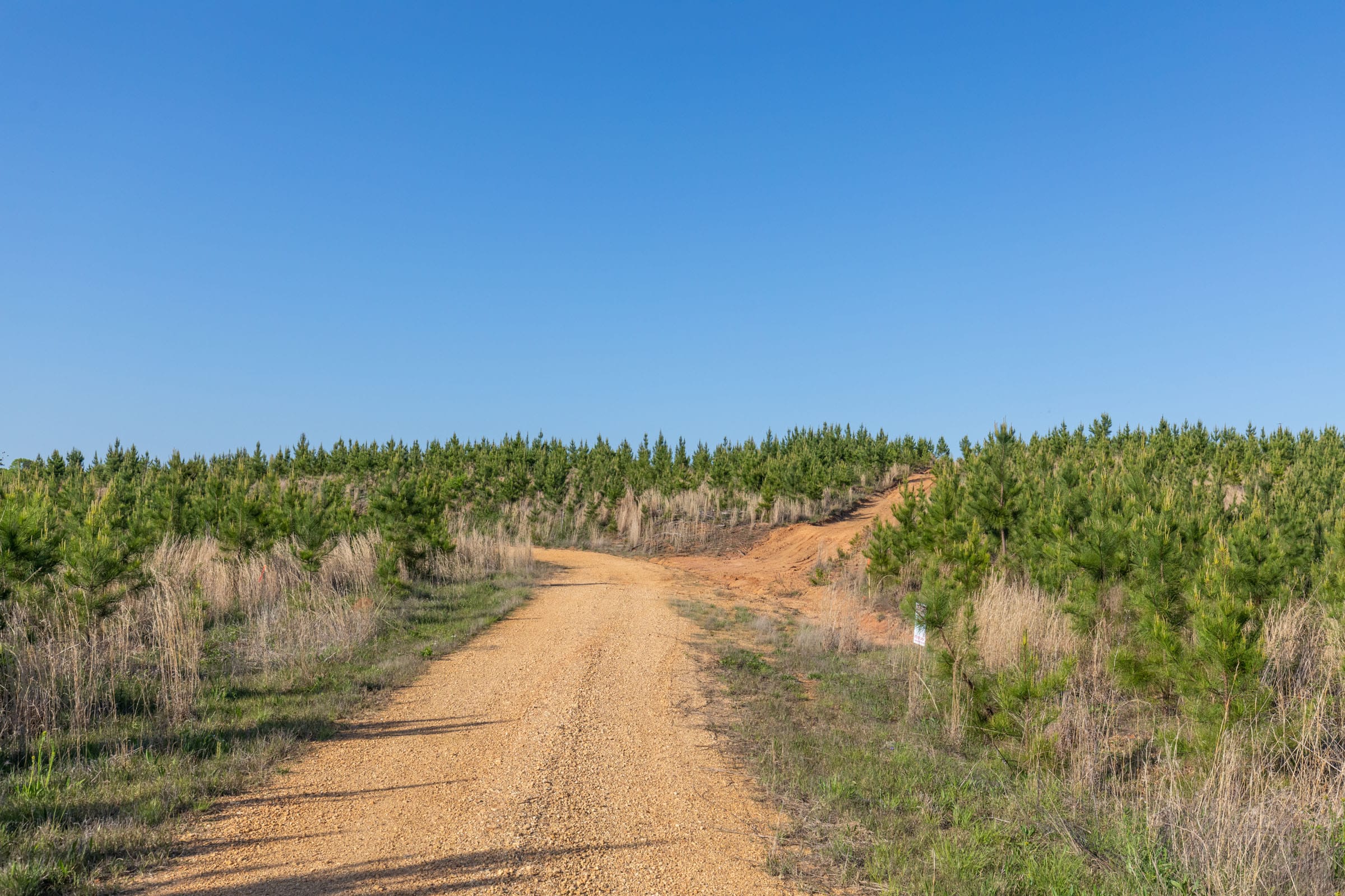 Clear Wood Tract 13 photo 10