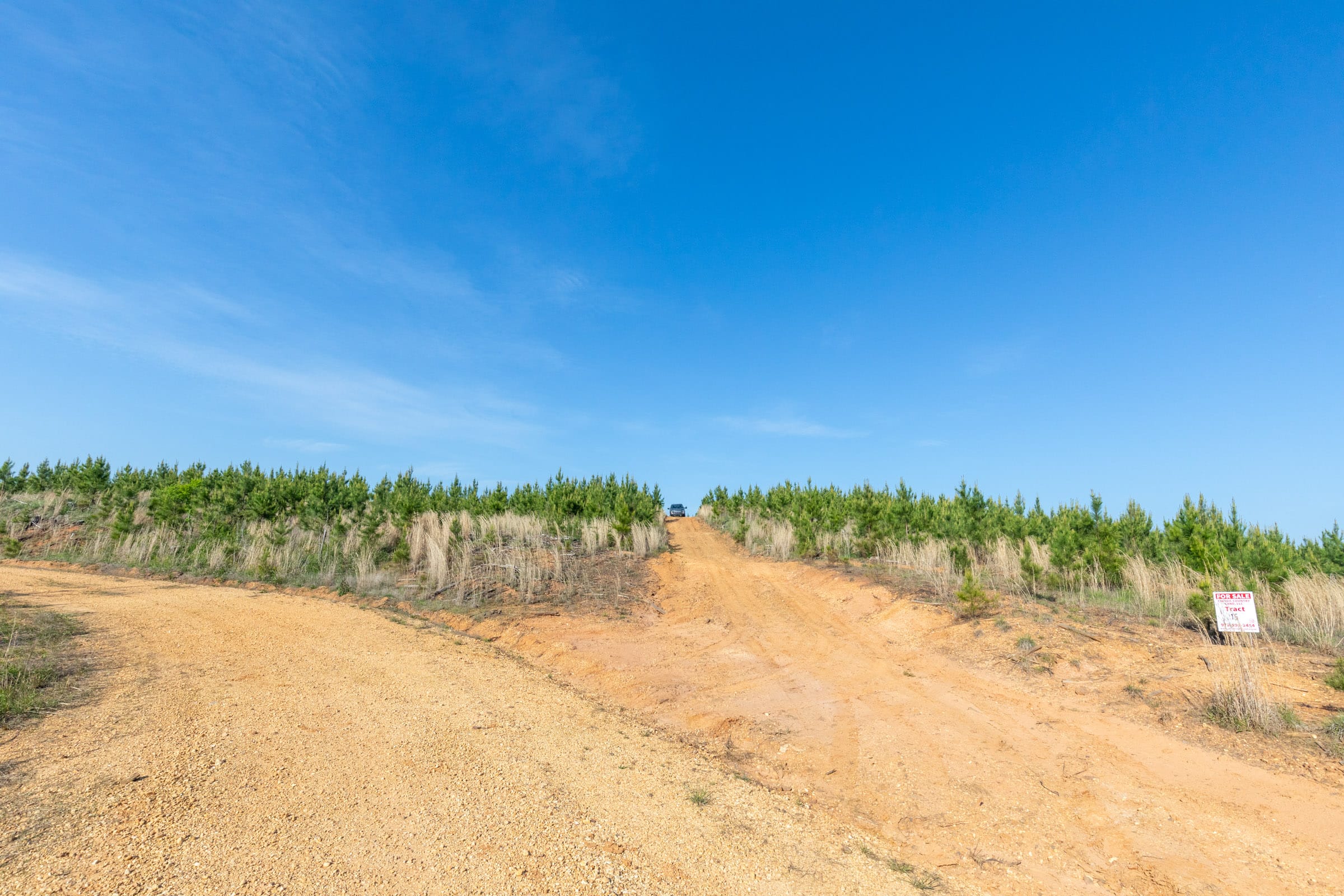 Clear Wood Tract 13 photo 24