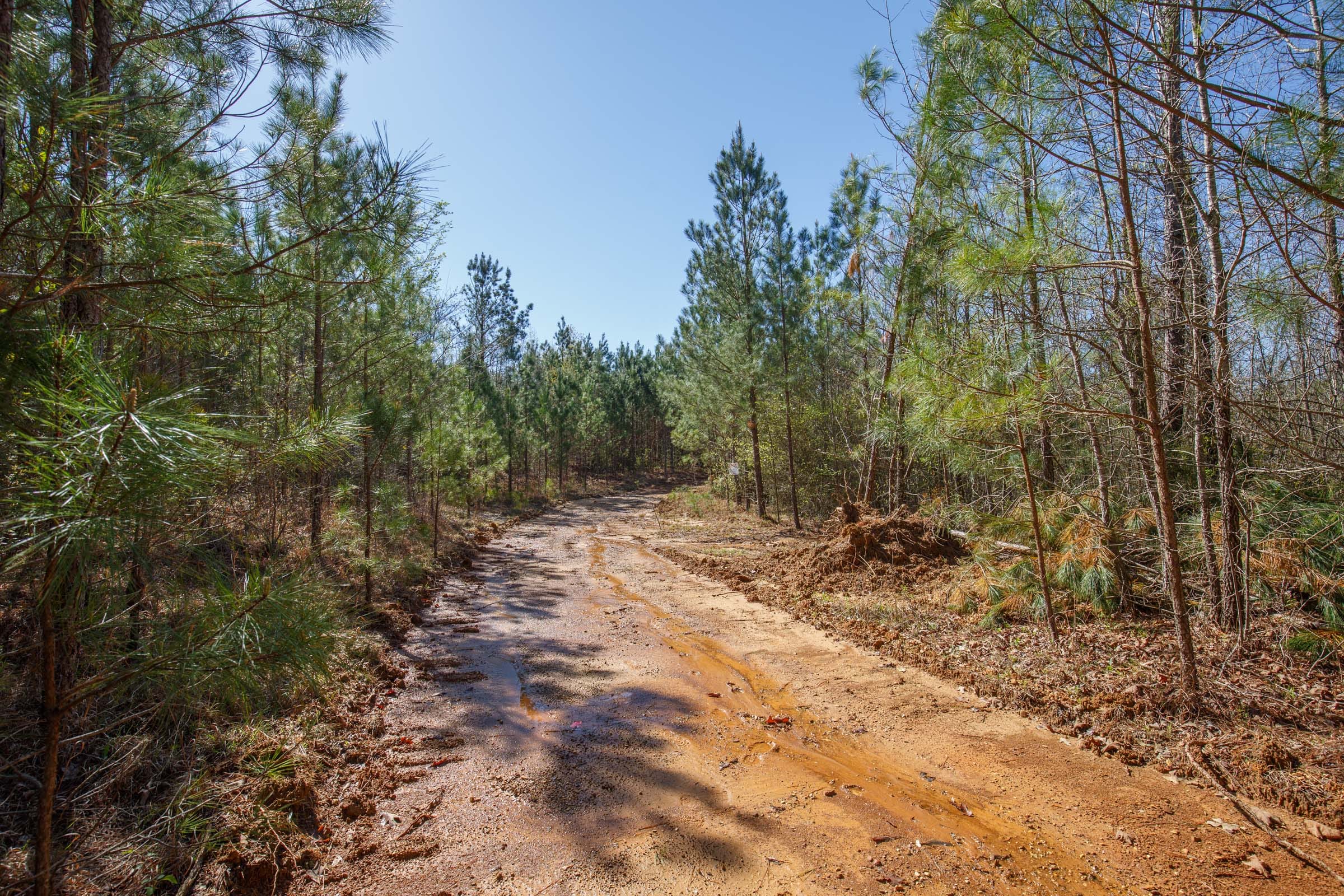 Southern Hills Tract 10 photo 2