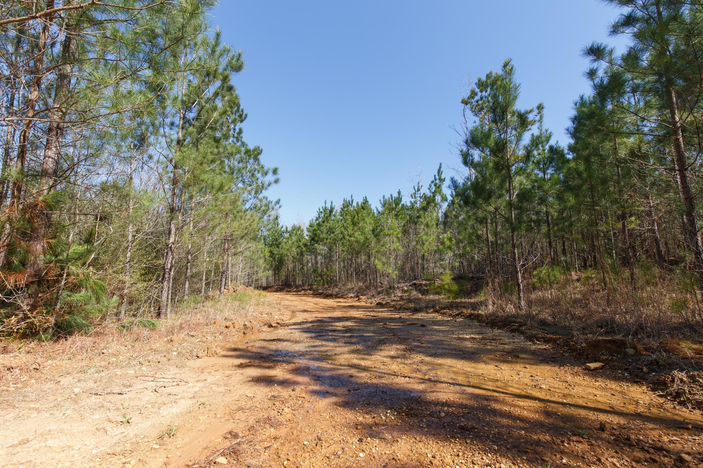 Southern Hills Tract 10 photo 6