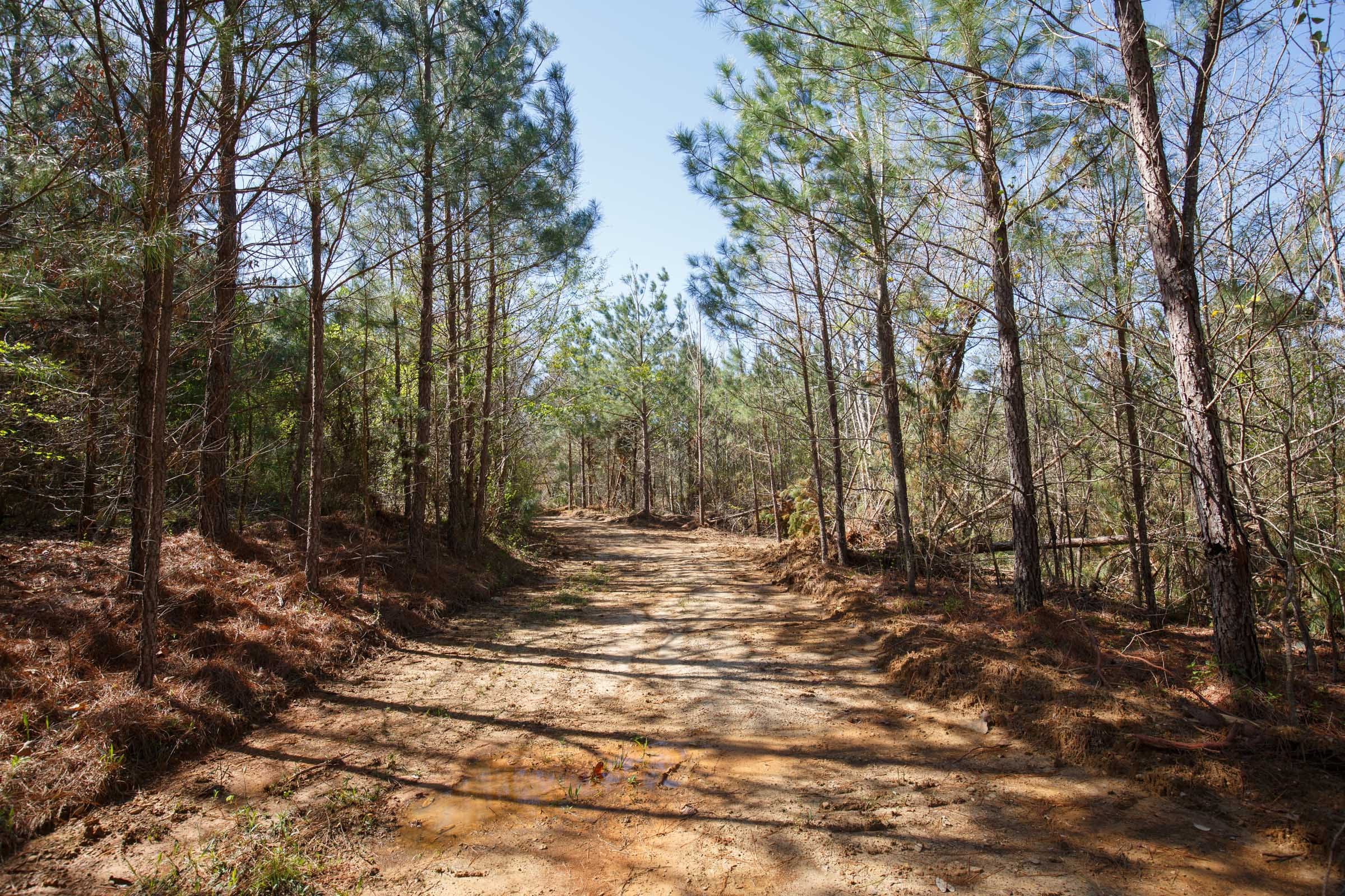 Southern Hills Tract 10 photo 9