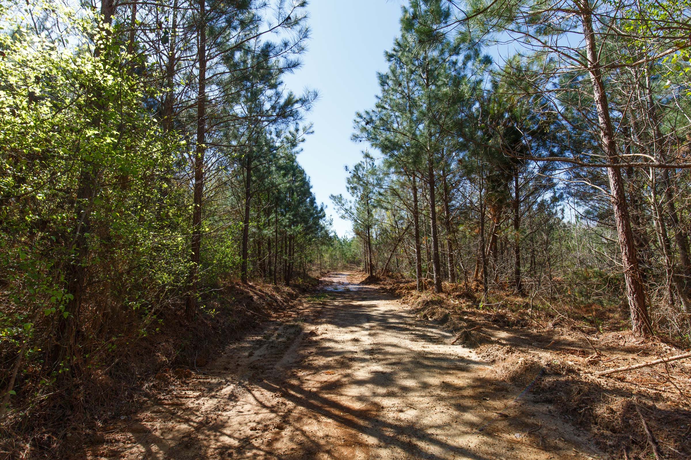Southern Hills Tract 10 photo 12