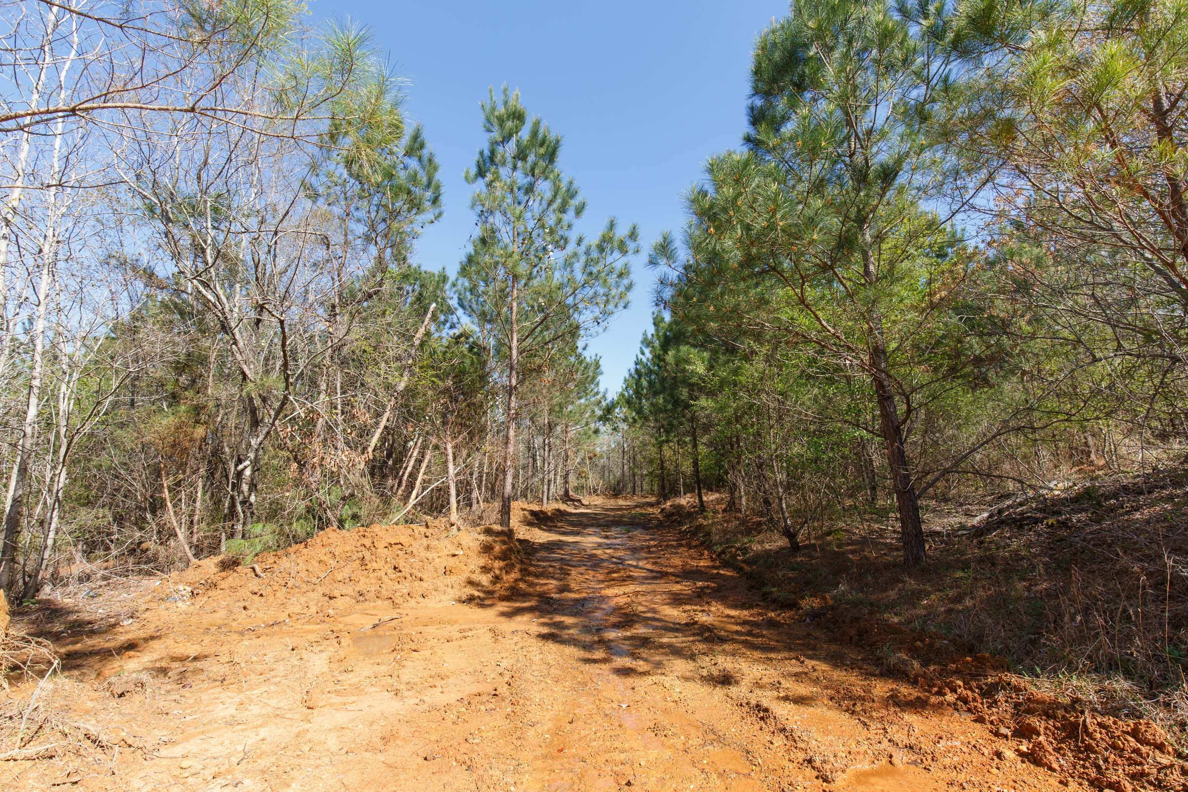 Southern Hills Tract 10 photo 15
