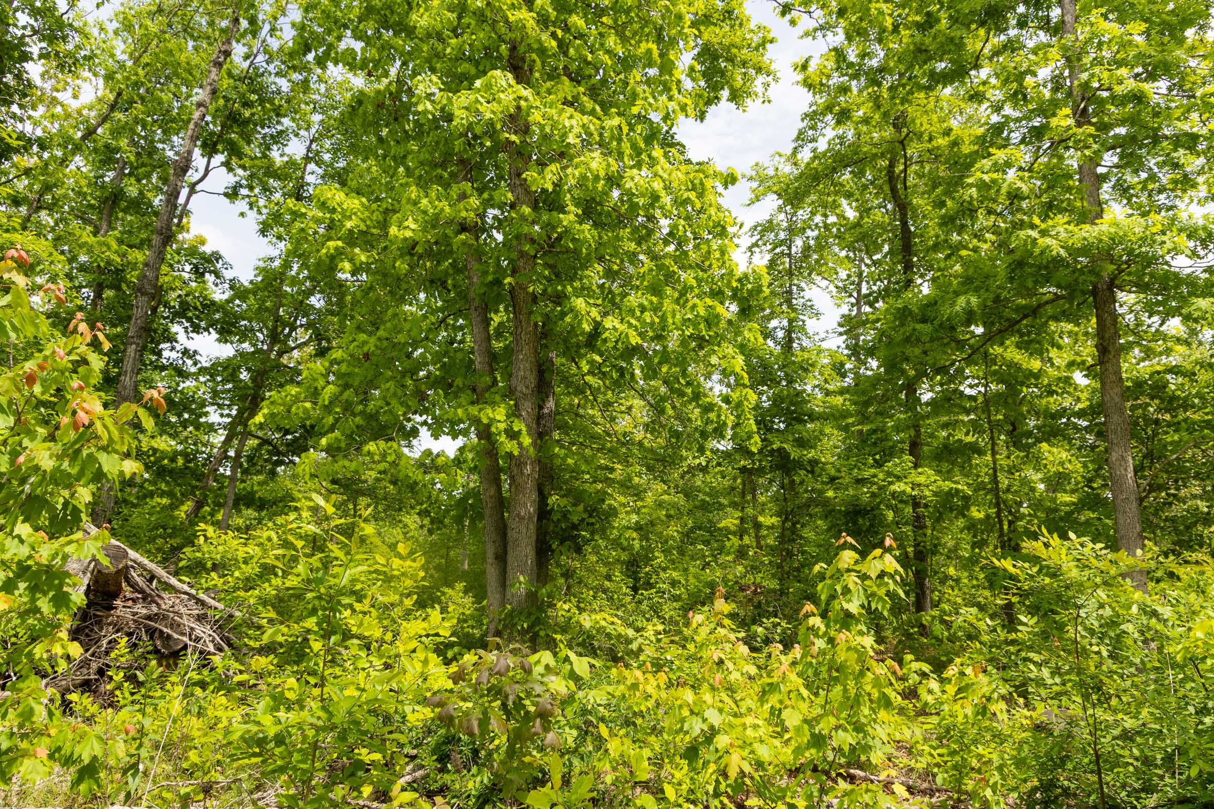 Stardust Estates Tract 26 photo 10