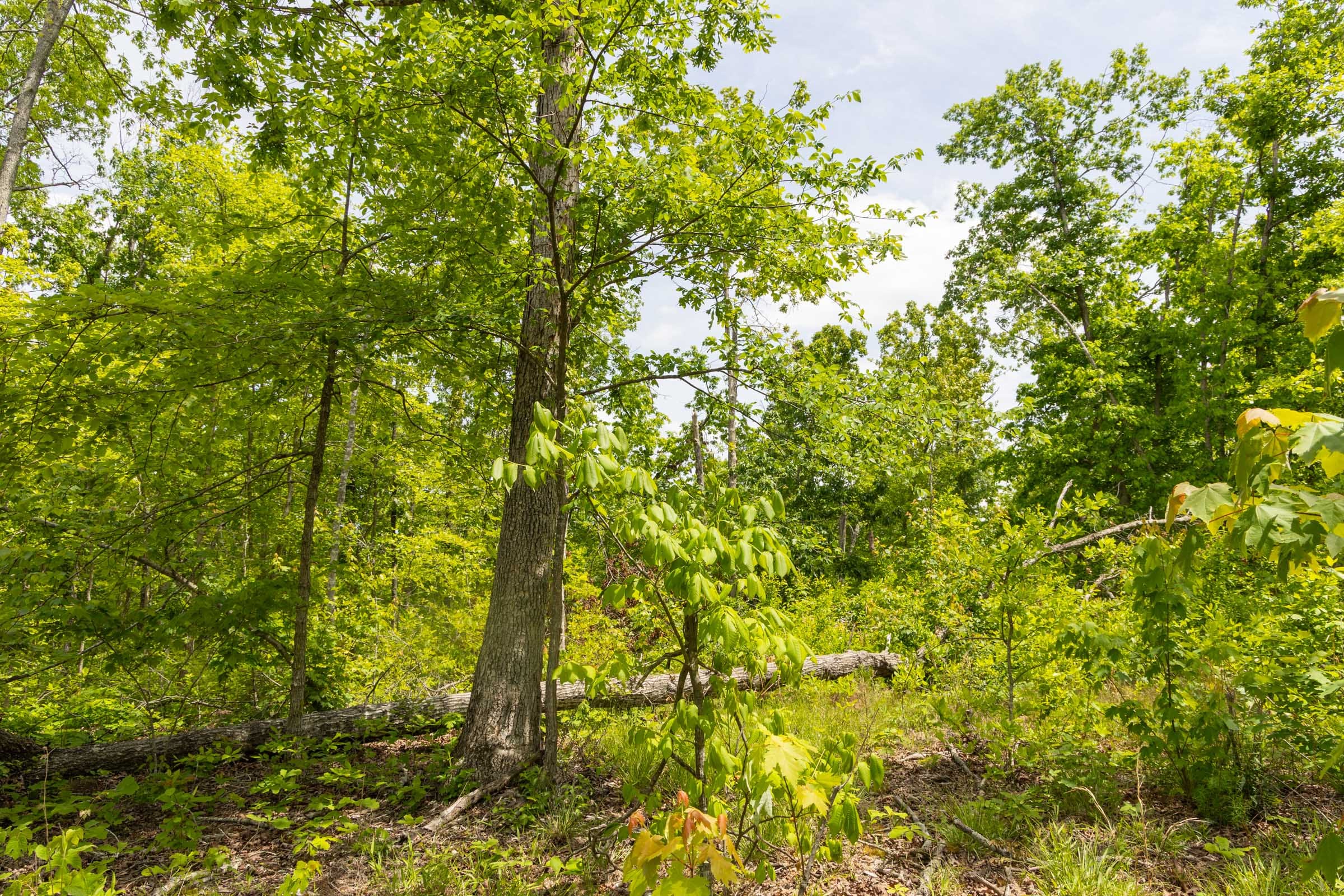 Stardust Estates Tract 26 photo 6