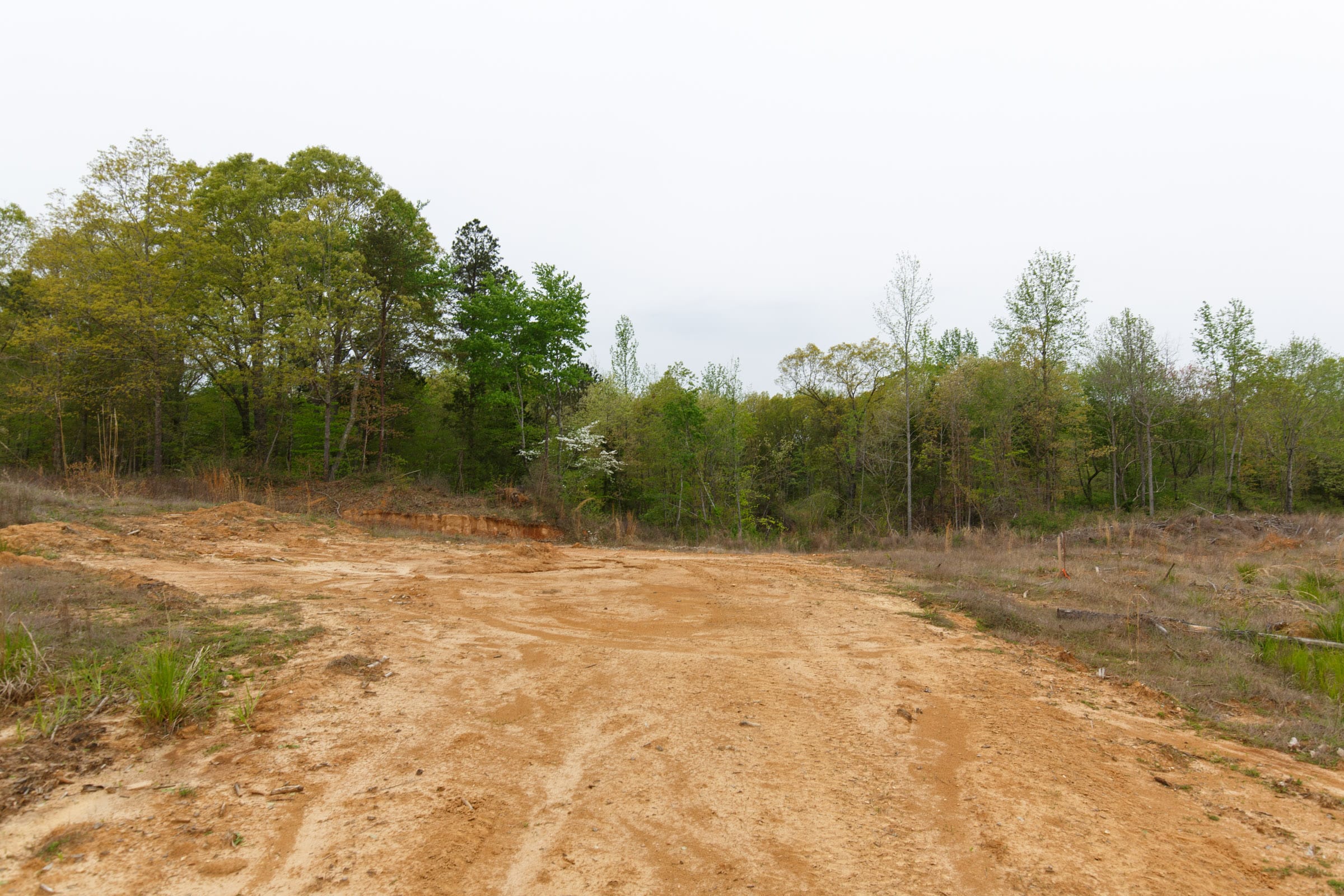 Twin Rivers Tract 35 photo 3