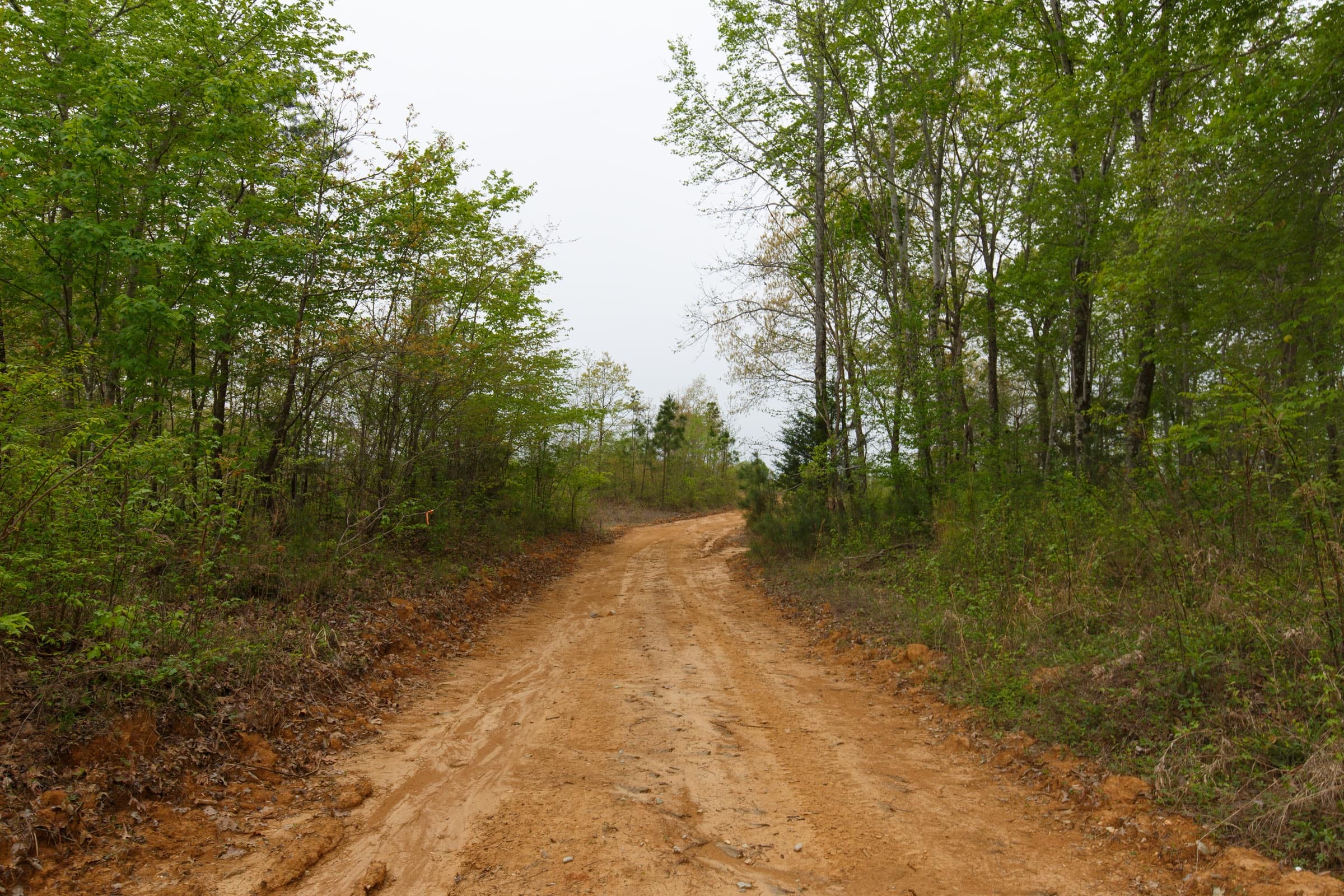Twin Rivers Tract 35 photo 4