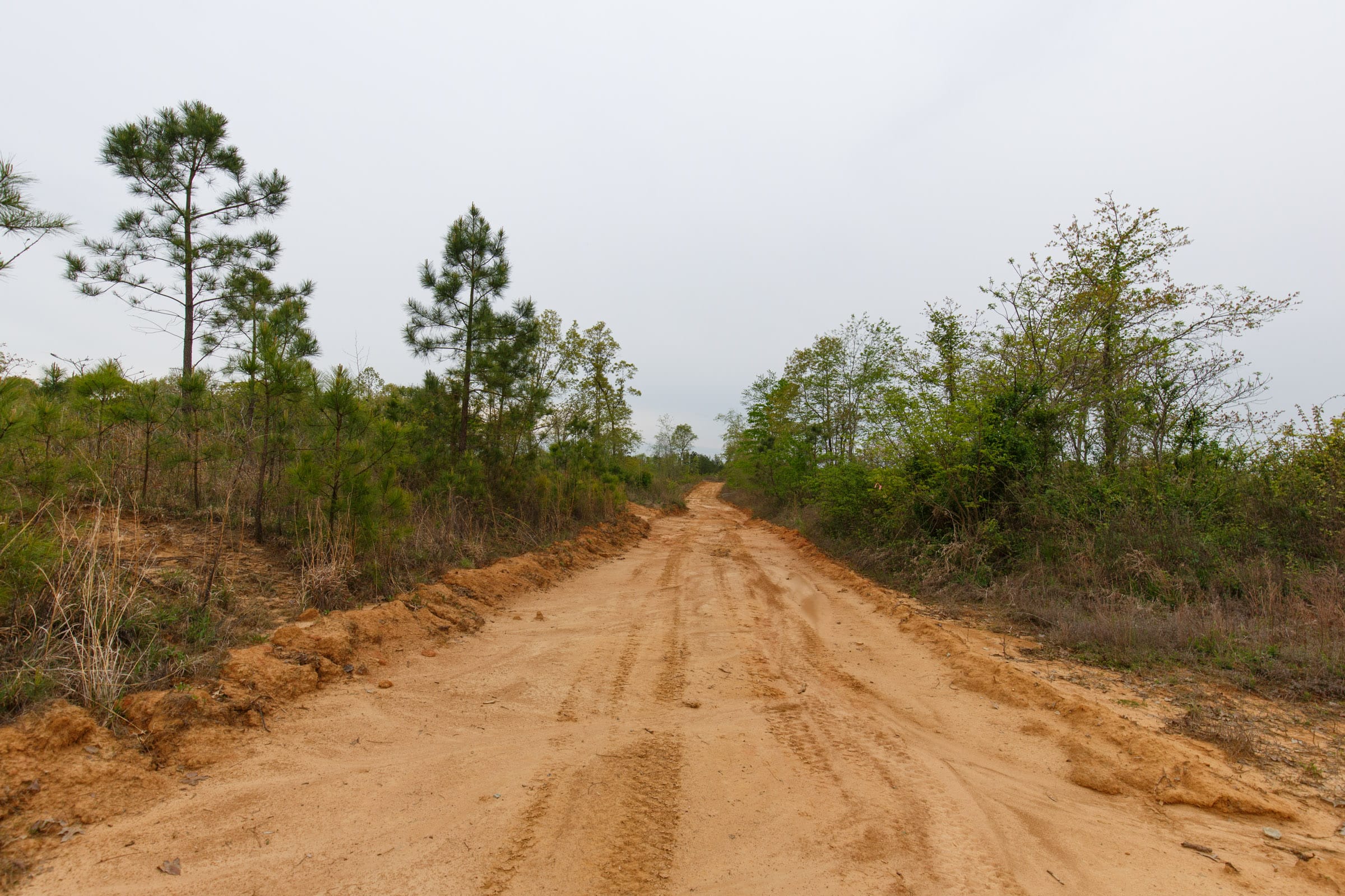 Twin Rivers Tract 35 photo 6