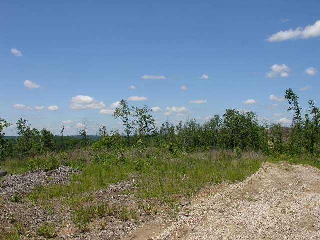 Antler Ridge Tract 21 photo 1