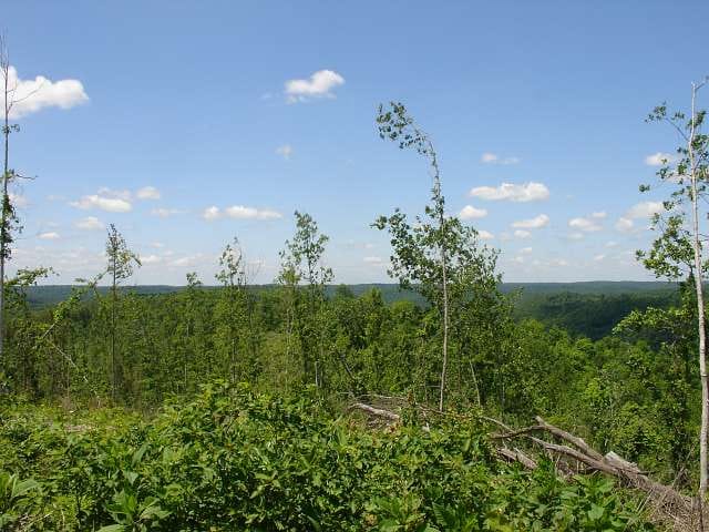 Antler Ridge Tract 21 photo 6