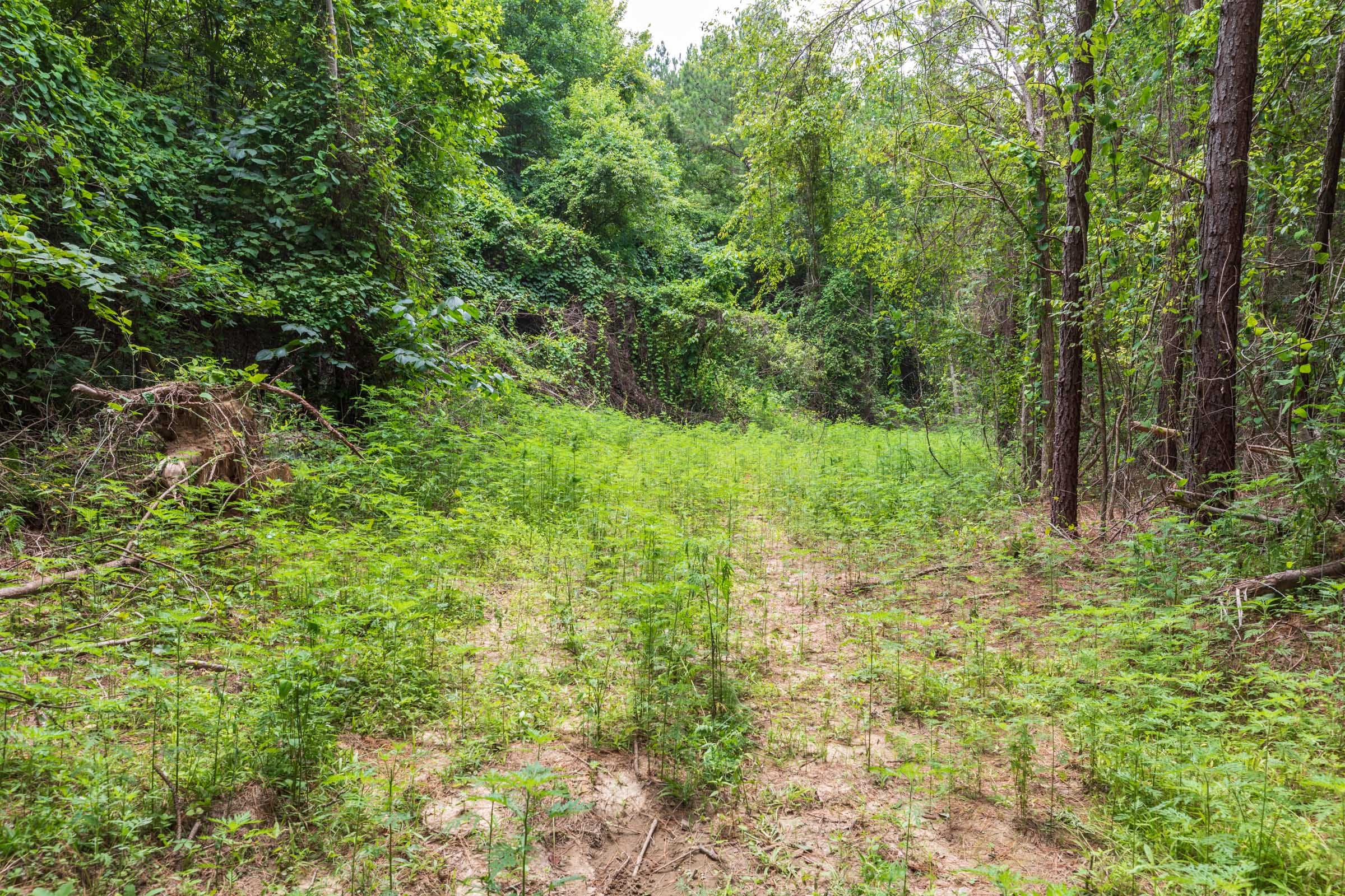 Whiskey Ridge Tract 30 photo 1