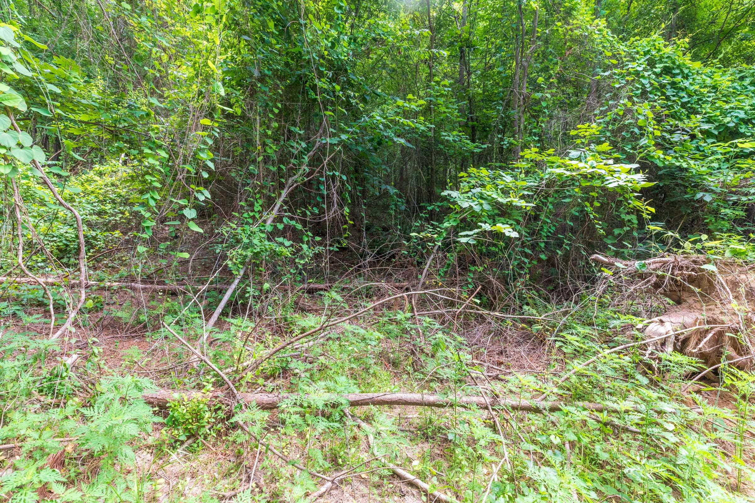 Whiskey Ridge Tract 30 photo 4