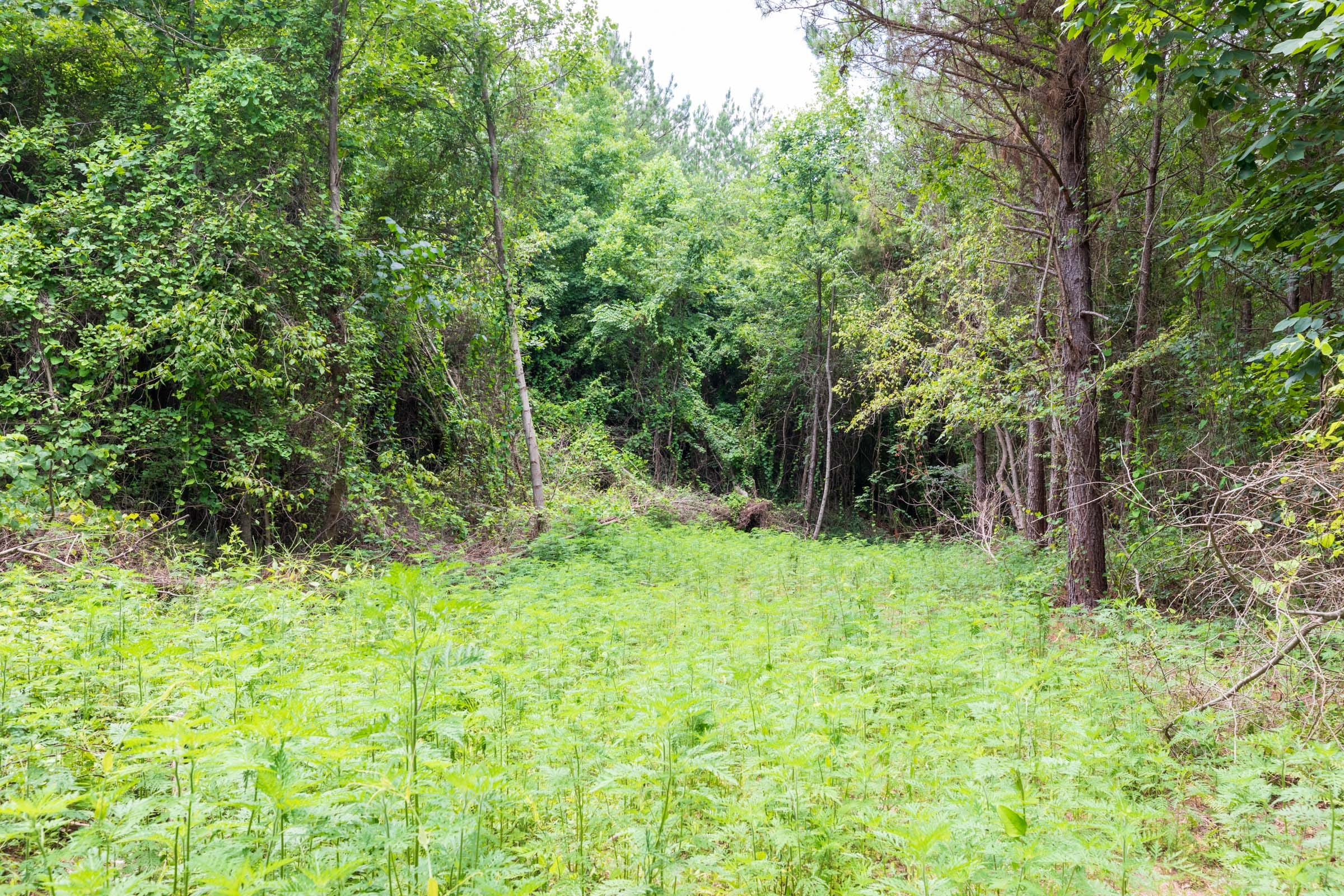 Whiskey Ridge Tract 30 photo 3