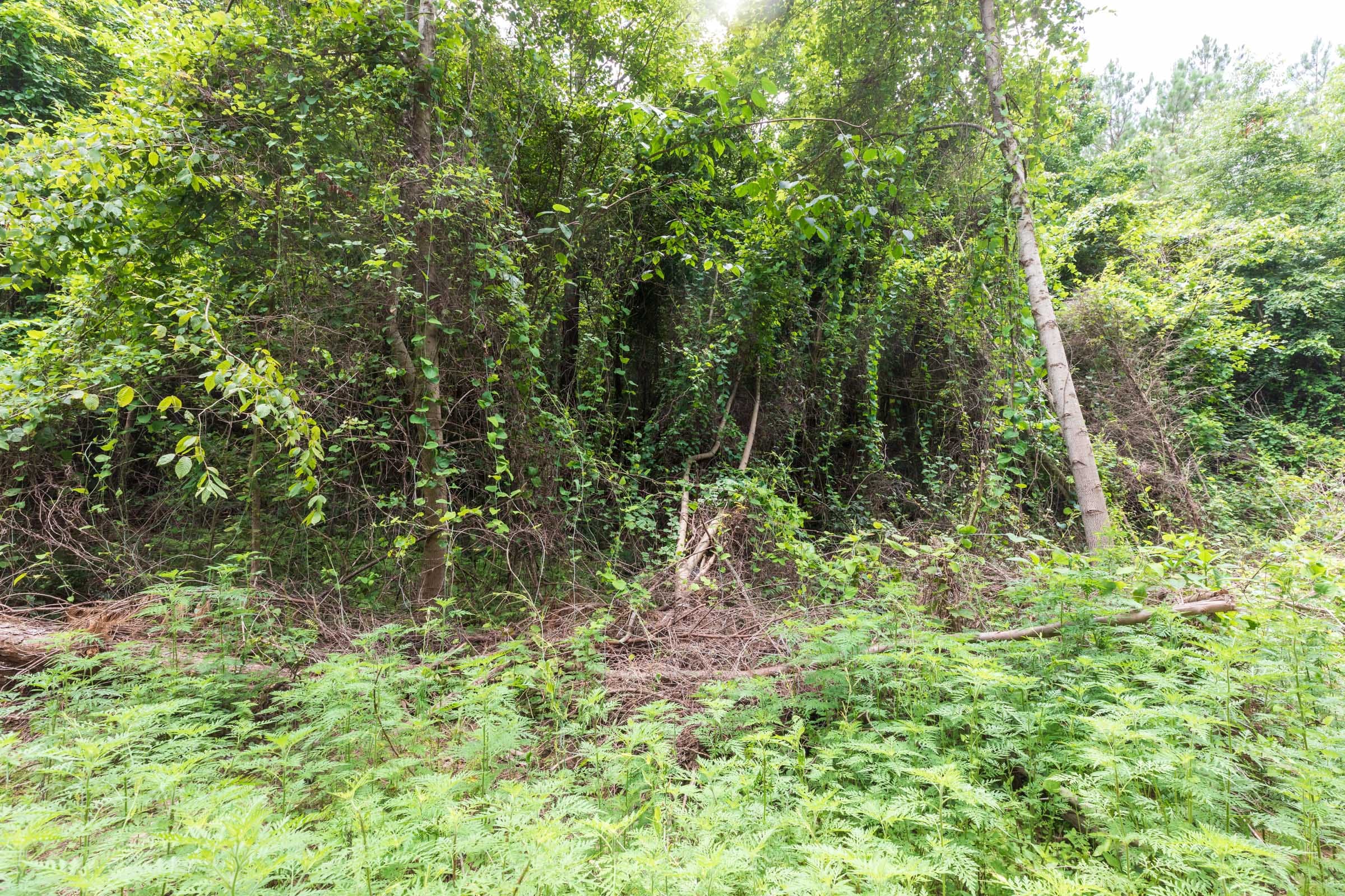 Whiskey Ridge Tract 30 photo 8