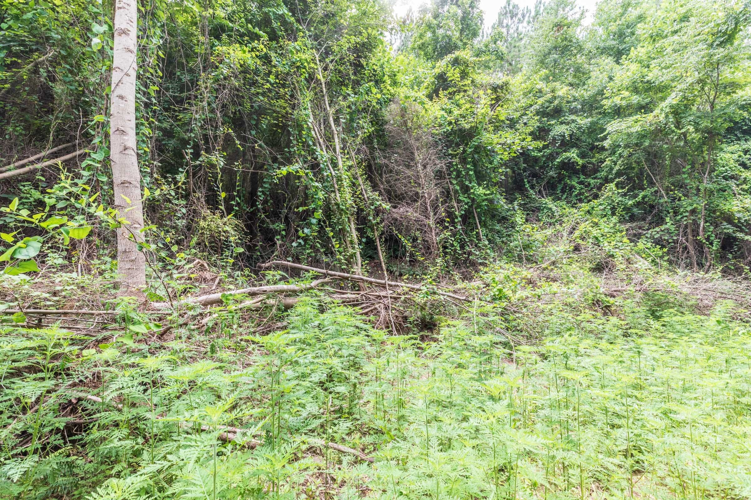 Whiskey Ridge Tract 30 photo 7