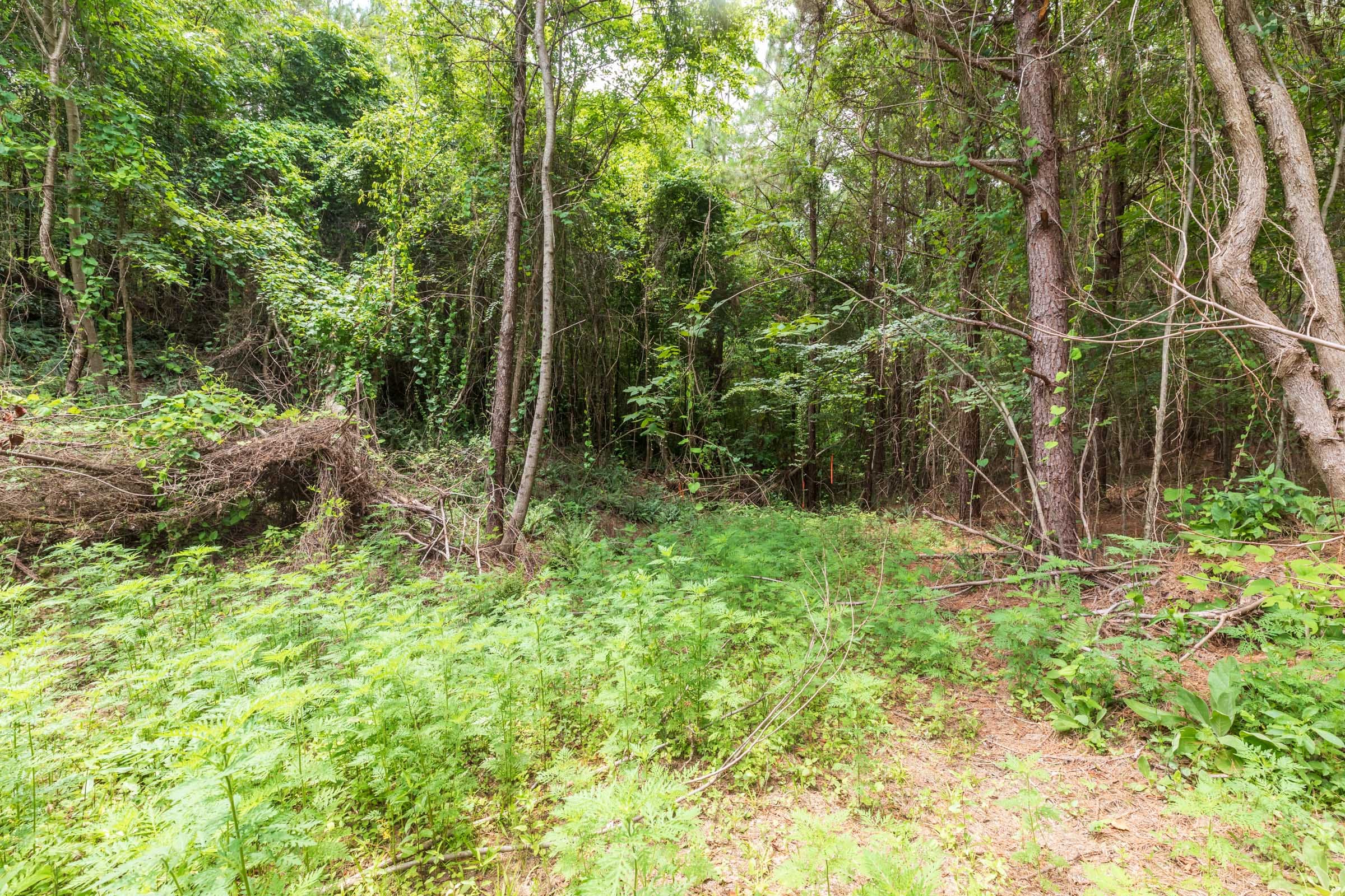 Whiskey Ridge Tract 30 photo 9