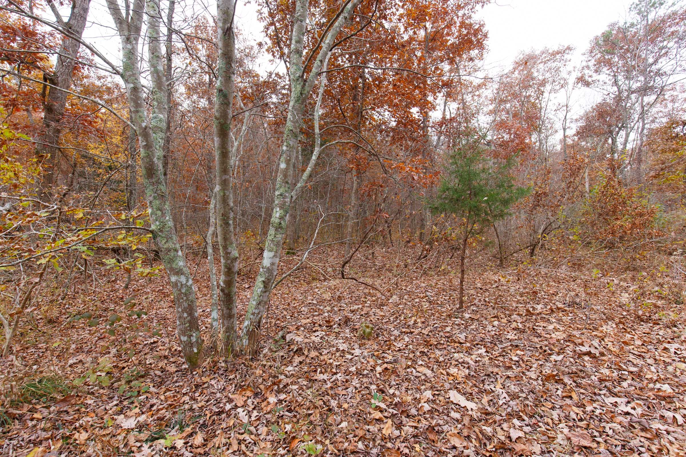 Hawkcrest Tract 27 photo 3