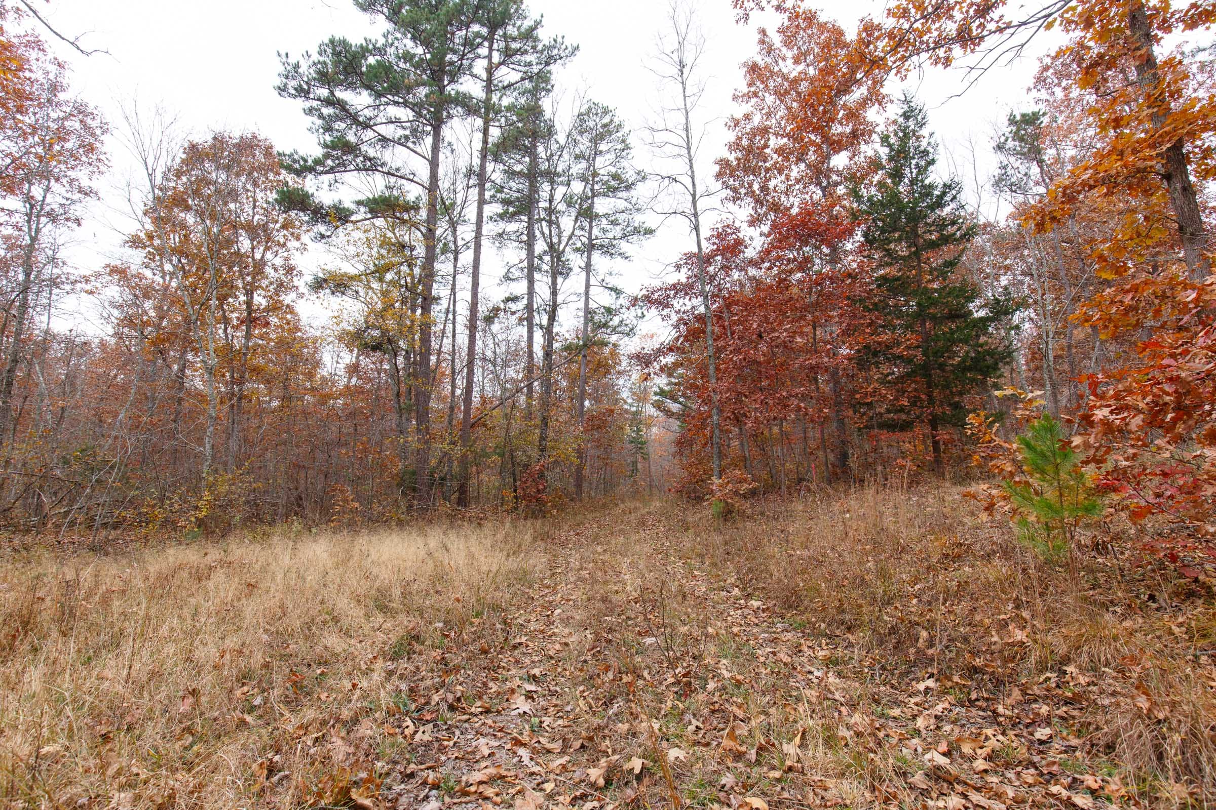 Hawkcrest Tract 27 photo 6