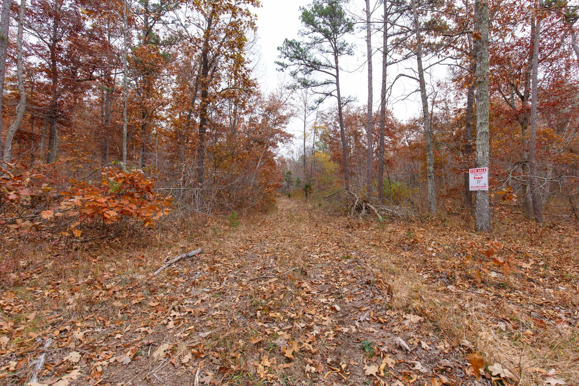 Hawkcrest Tract 27 photo 2