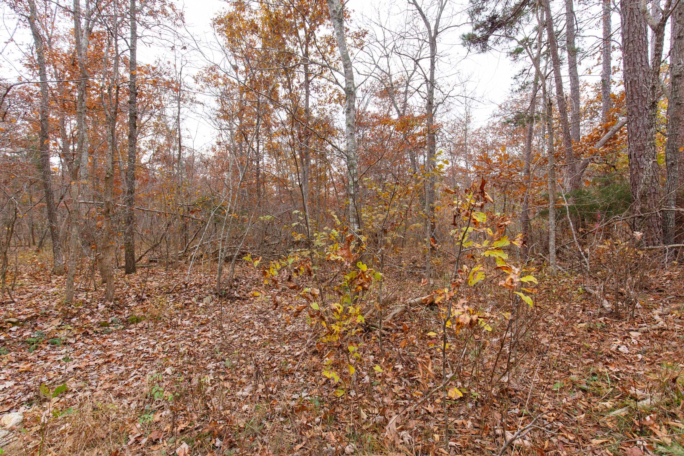 Hawkcrest Tract 27 photo 9