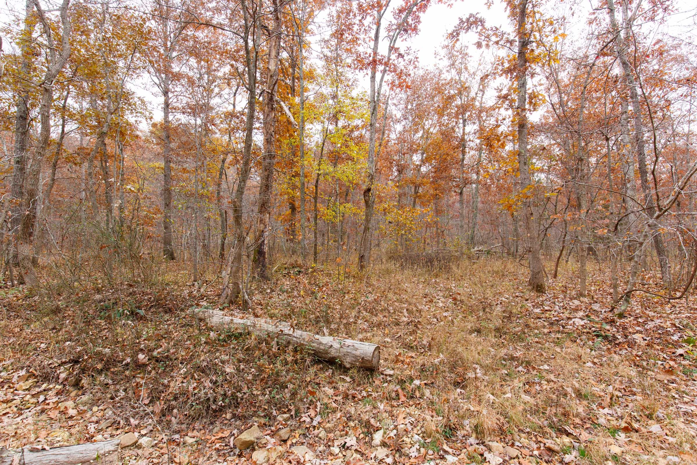 Hawkcrest Tract 27 photo 8