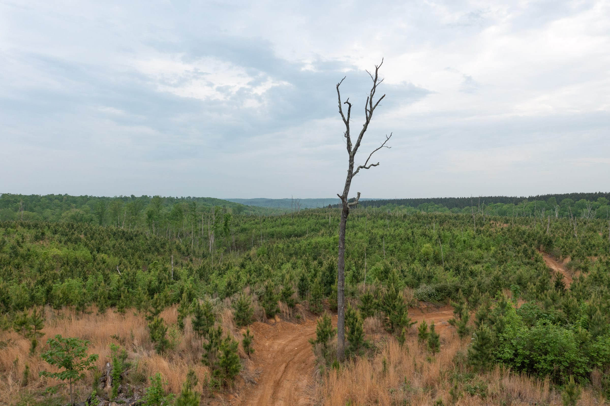 Red Barn Ranch Tract 15 photo 2
